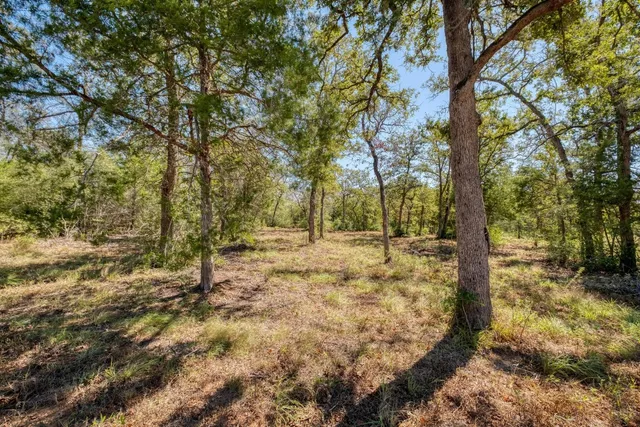 a view of a field with trees in the background