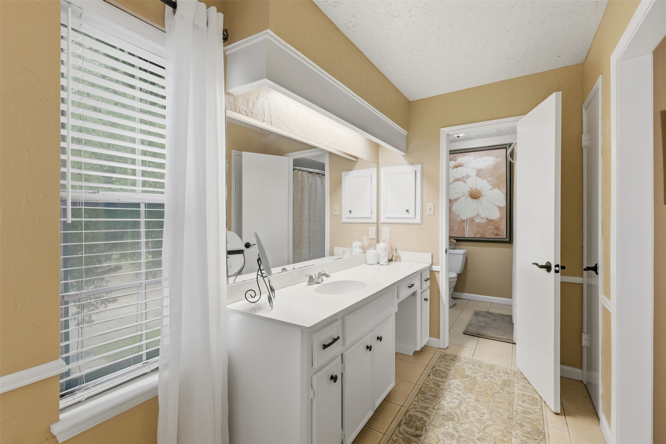 7010 River Mill Drive Spring, TX 77379 - Photo 21 of 29 a bathroom with a double vanity sink a mirror and a toilet