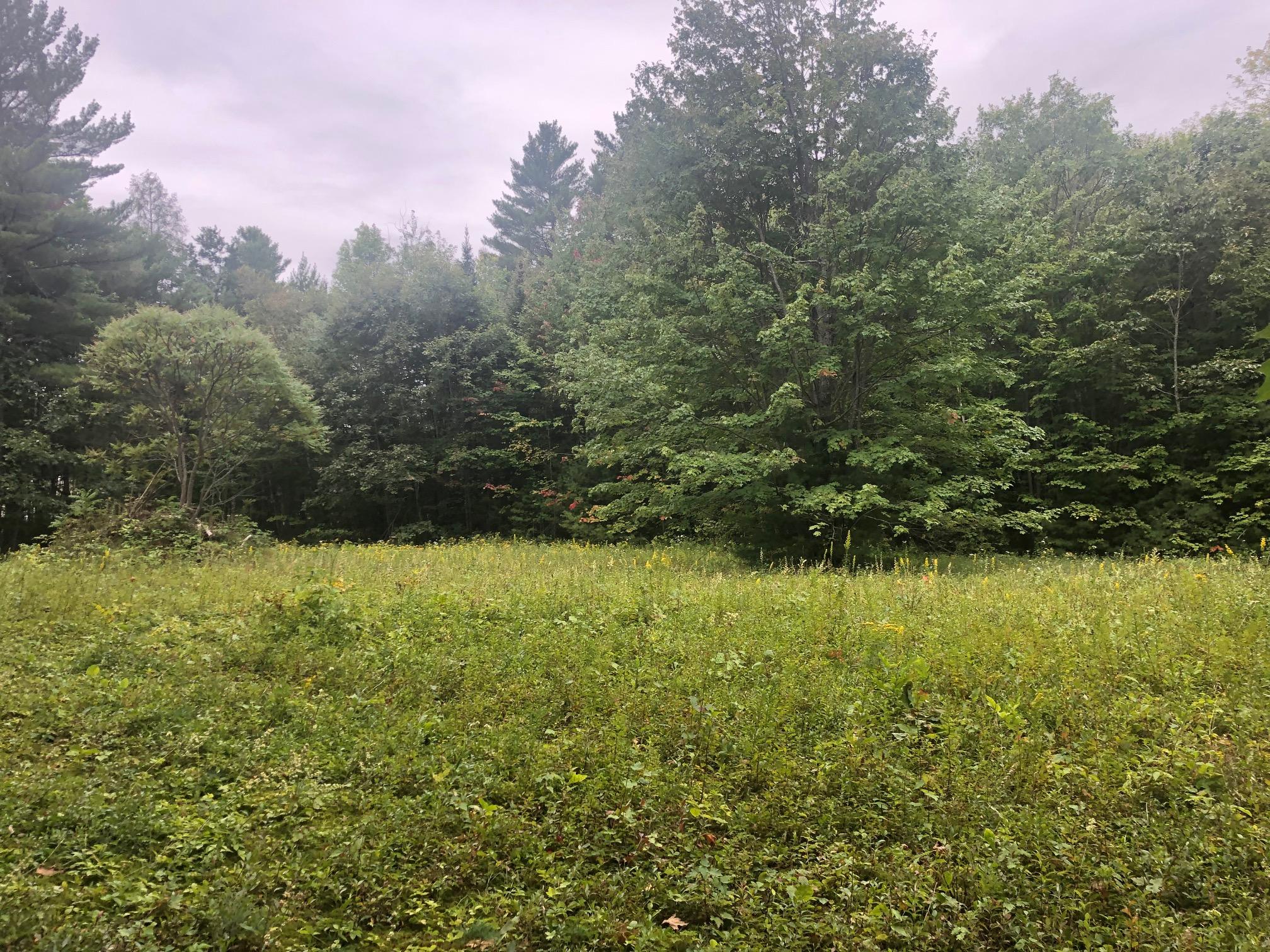 0 Fenwick Road Belmont, ME 04952 - Photo 2 of 8 IMG_1342