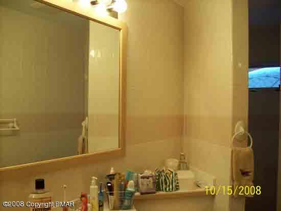 11 West Valley Road Kunkletown, PA 18058 - Photo 15 of 20 Main Bathroom