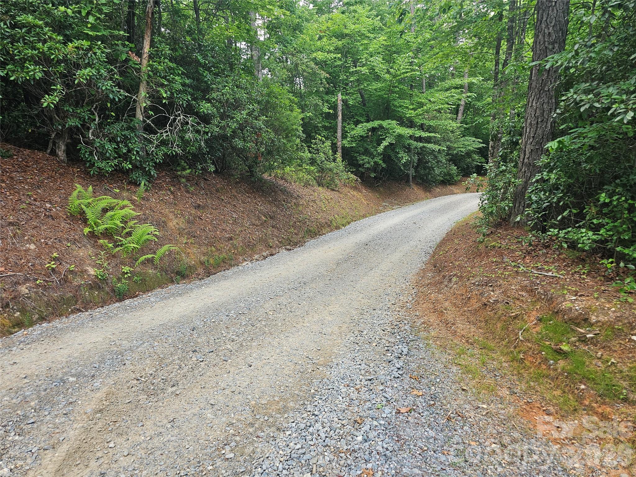 171 Duff Cv Road Brevard, NC 28712 - Photo 6 of 32