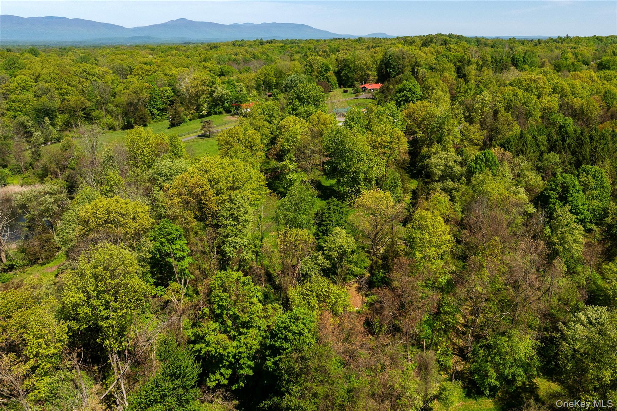 52 Pells Road Rhinebeck, NY 12572 - Photo 22 of 28