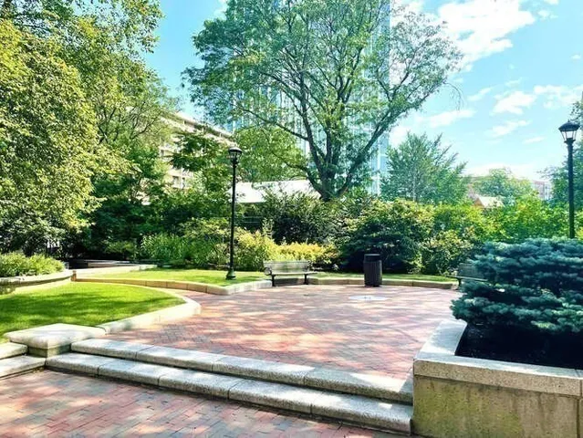 a view of yard with tree in the background