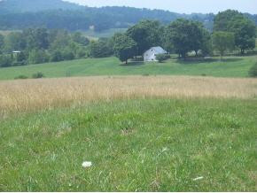 695 Browns Circle Road Greeneville, TN 37743 - Photo 1 of 7 Photo 1
