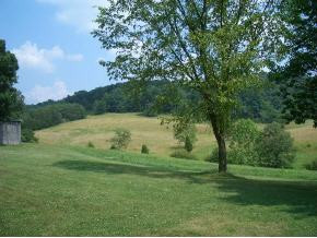 695 Browns Circle Road Greeneville, TN 37743 - Photo 5 of 7 Photo 5