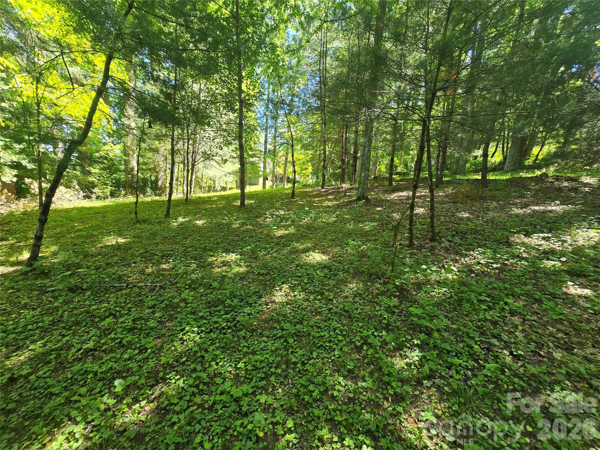 623 Owensby Road Hendersonville, NC 28792 - Photo 46 of 47