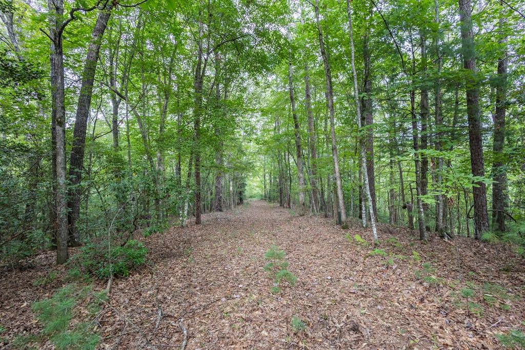 Lot 26 Persimmon Hts Road Murphy, NC 28906 - Photo 2 of 9