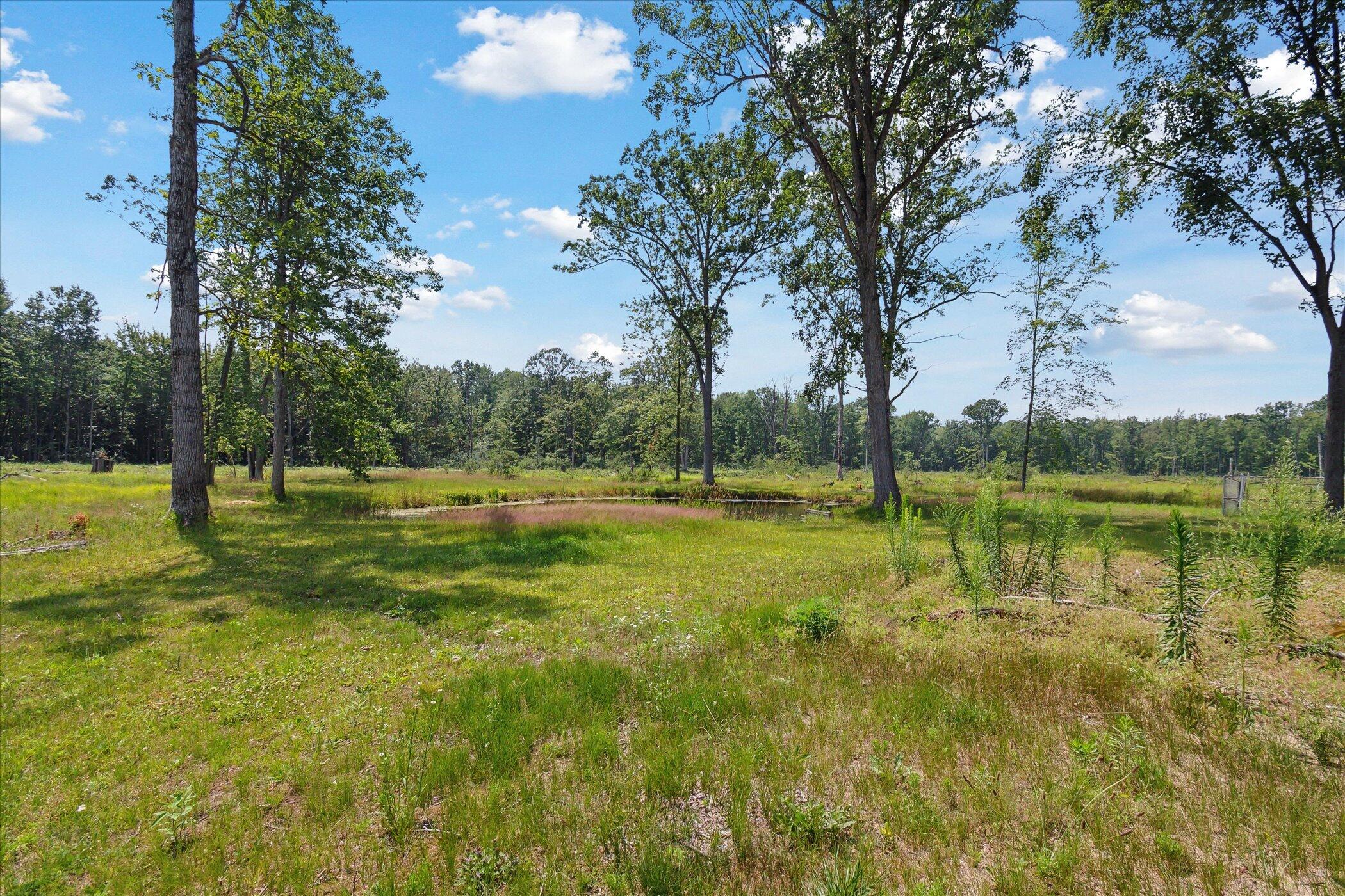 939 North Coleman Road Shepherd, MI 48883 - Photo 31 of 38 31-939-N-Coleman-Rd-Shepherd-MI-48883-Wi