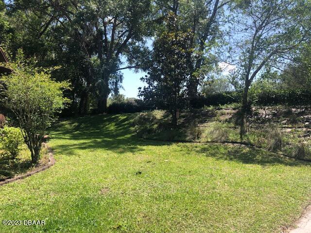 2850 Valley Forge Road DeLand, FL 32720 - Photo 25 of 33 BACKYARD1