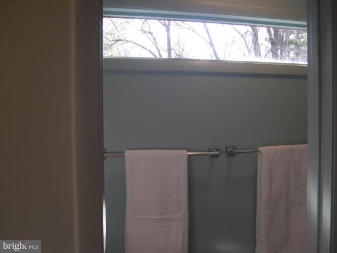 1327 Buttermilk Lane Reston, VA 20190 - Photo 21 of 30 Unique windows in Master Bath