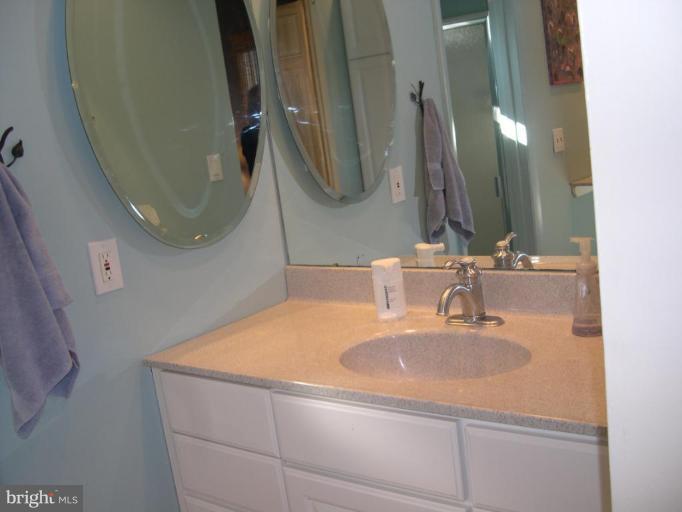 1327 Buttermilk Lane Reston, VA 20190 - Photo 22 of 30 Master bath