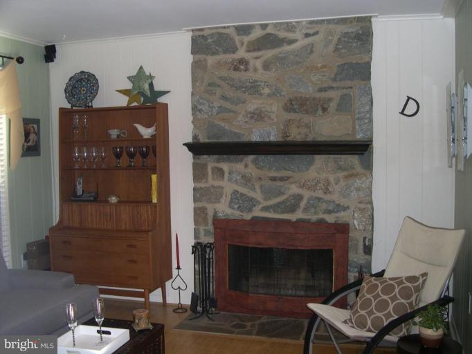 1327 Buttermilk Lane Reston, VA 20190 - Photo 8 of 30 Stone Wood-burning Fireplace in FR
