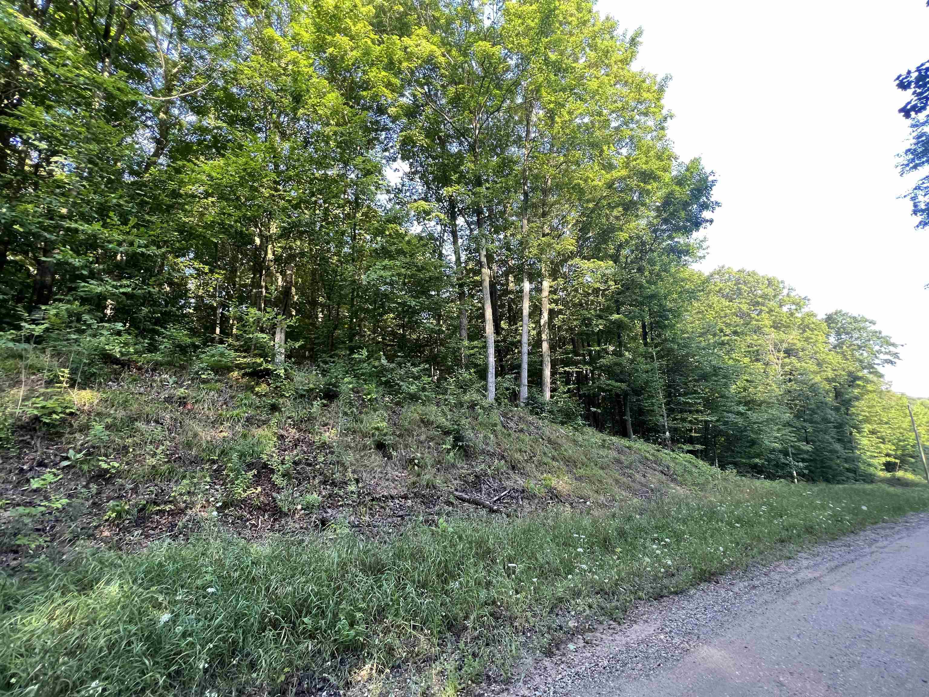 0 Narrow Gauge Road, Unit PARCEL B Beulah, MI 49617 - Photo 4 of 6