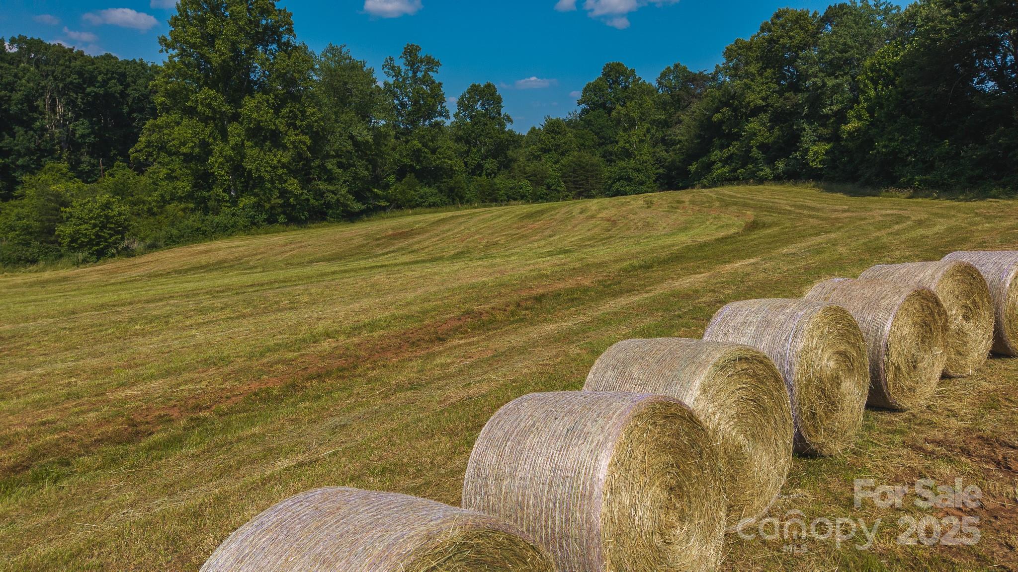 Tbd Johnson Ridge Road Elkin, NC 28621 - Photo 11 of 24