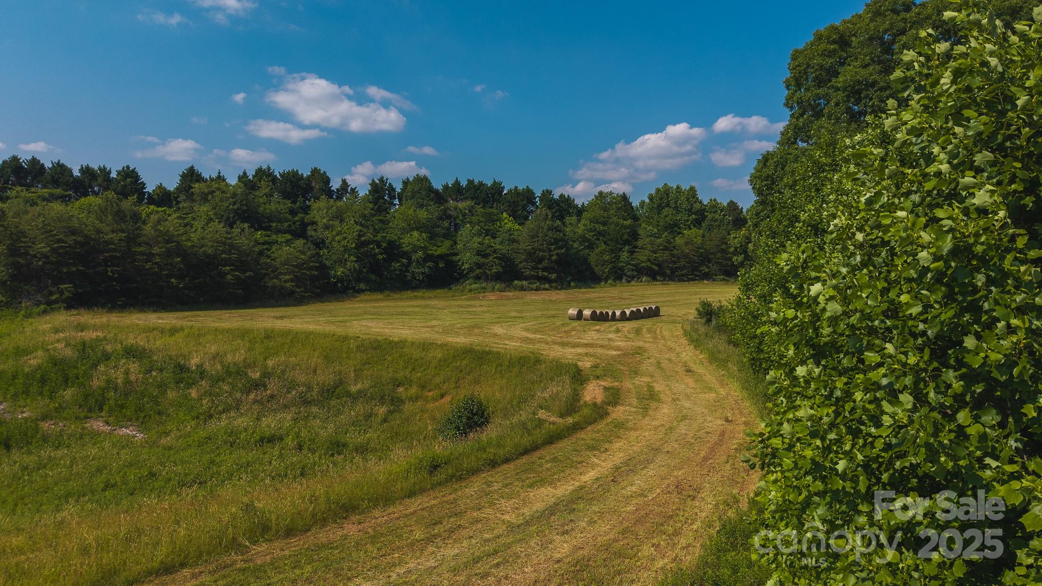 Tbd Johnson Ridge Road Elkin, NC 28621 - Photo 12 of 24
