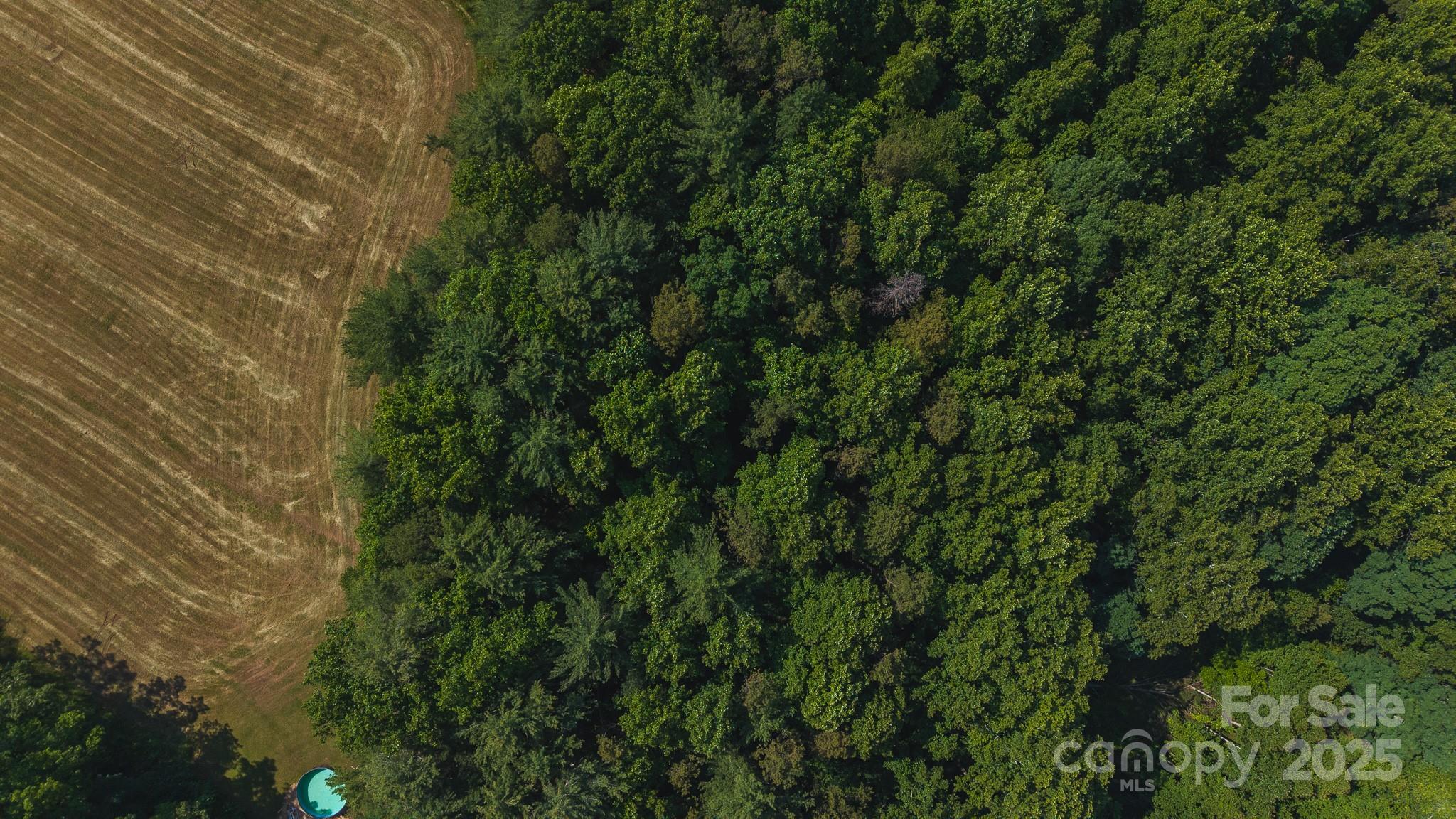 Tbd Johnson Ridge Road Elkin, NC 28621 - Photo 2 of 24