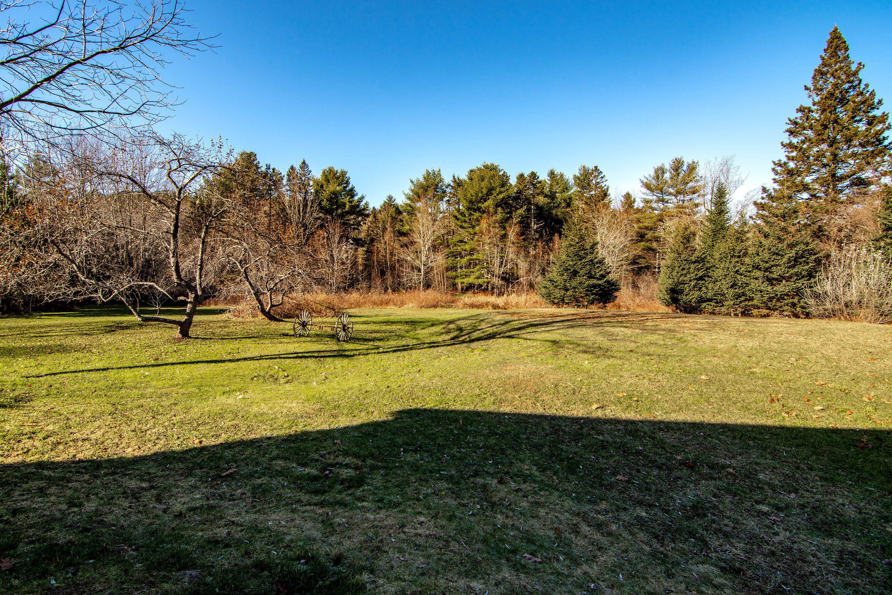 202 Hinckley Ridge Road Blue Hill, ME 04614 - Photo 36 of 36 202 Hinkley Ridge Side Yard-2