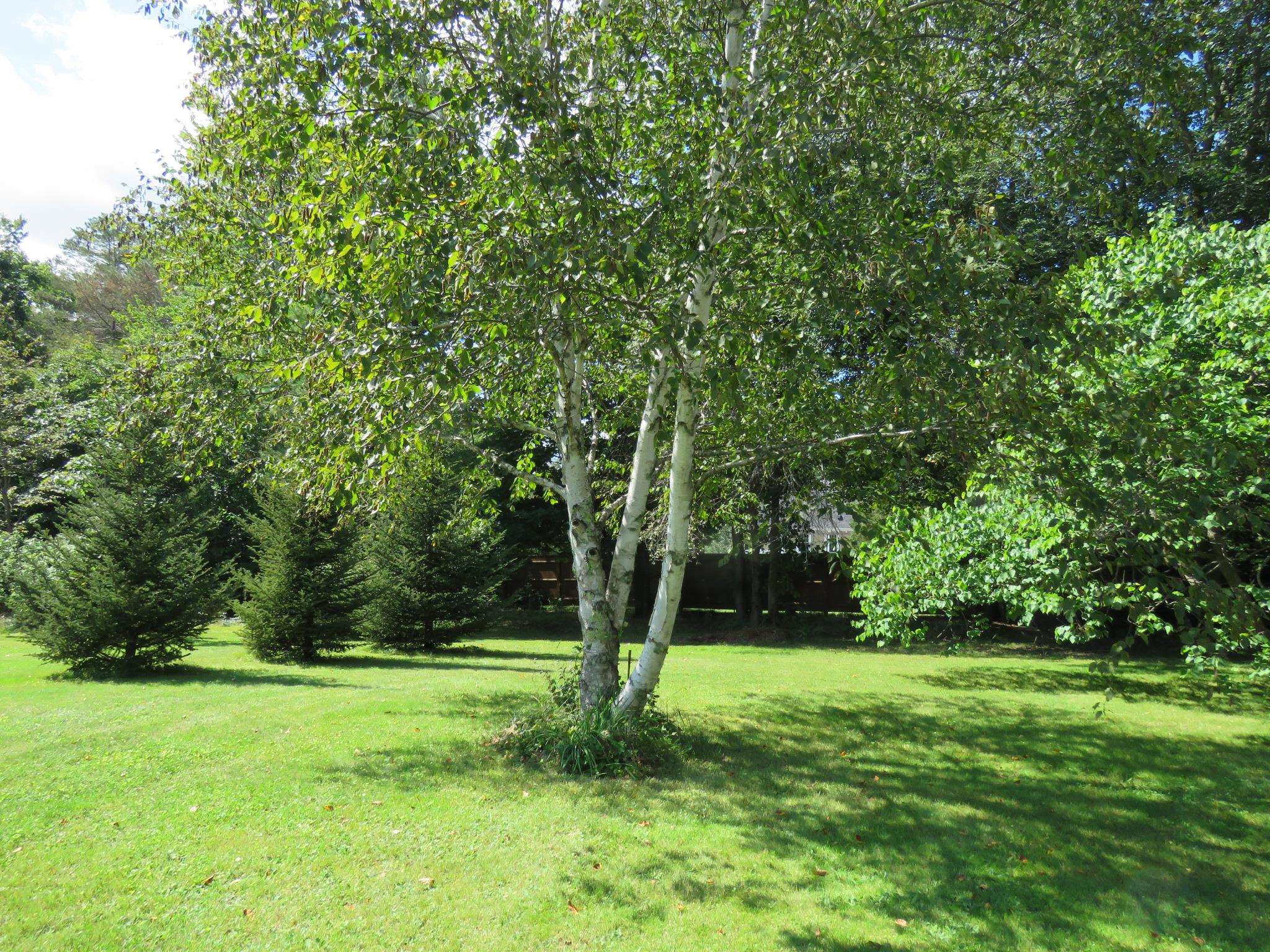 426 Middle Road Brentwood, NH 03833 - Photo 34 of 40 Gallery Image 34