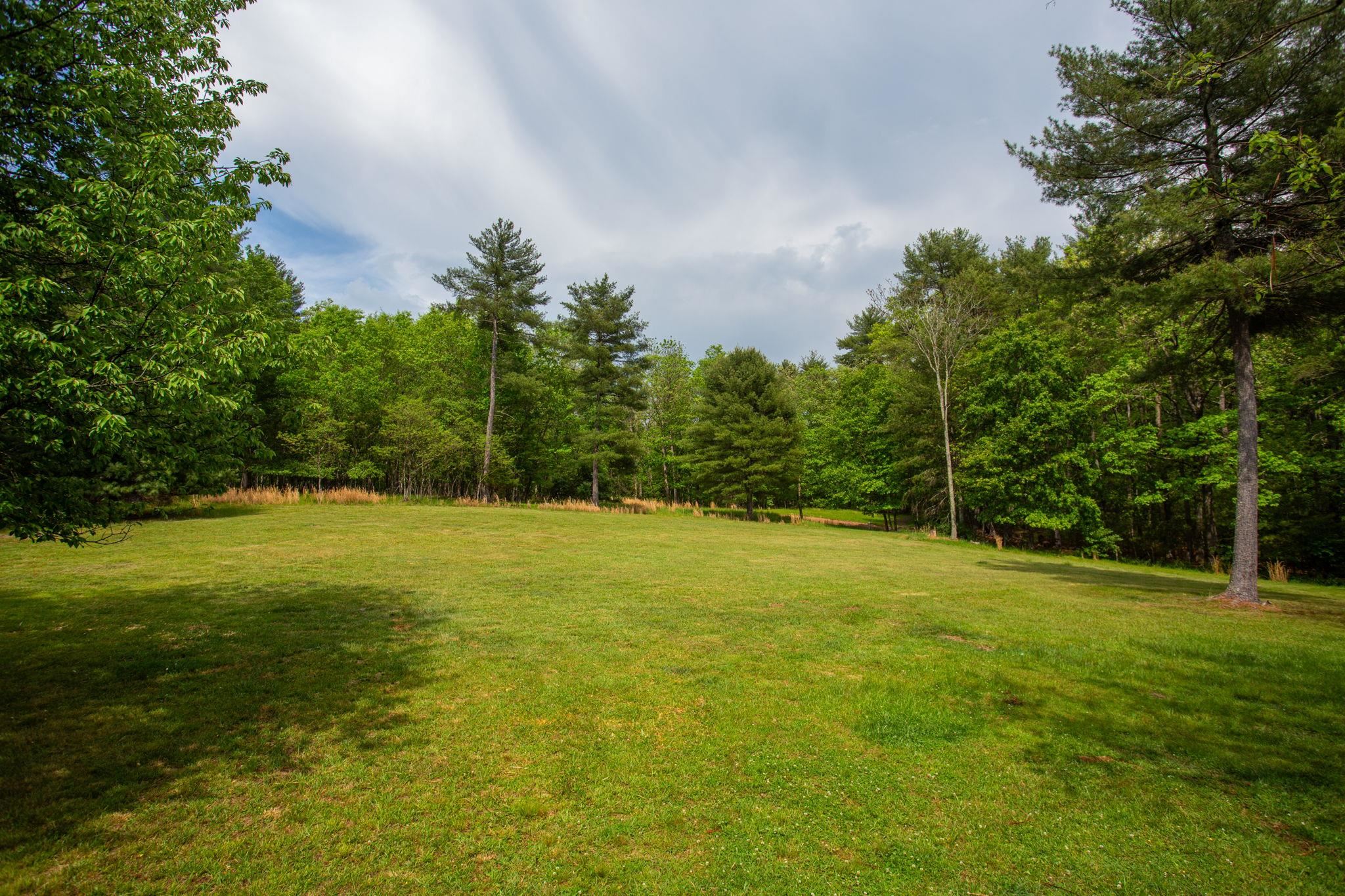 21117 Mine Mountain Road Bergton, VA 22811 - Photo 24 of 30 Land around the house