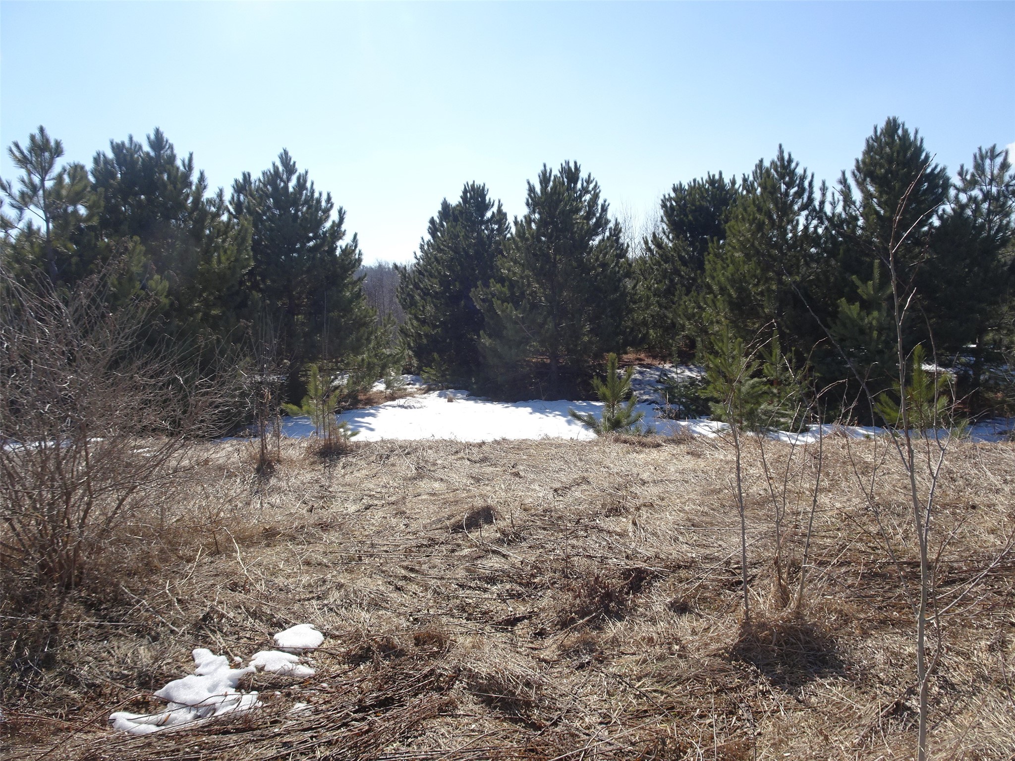 35 Highway 35 Frederic, WI 54837 - Photo 7 of 11
