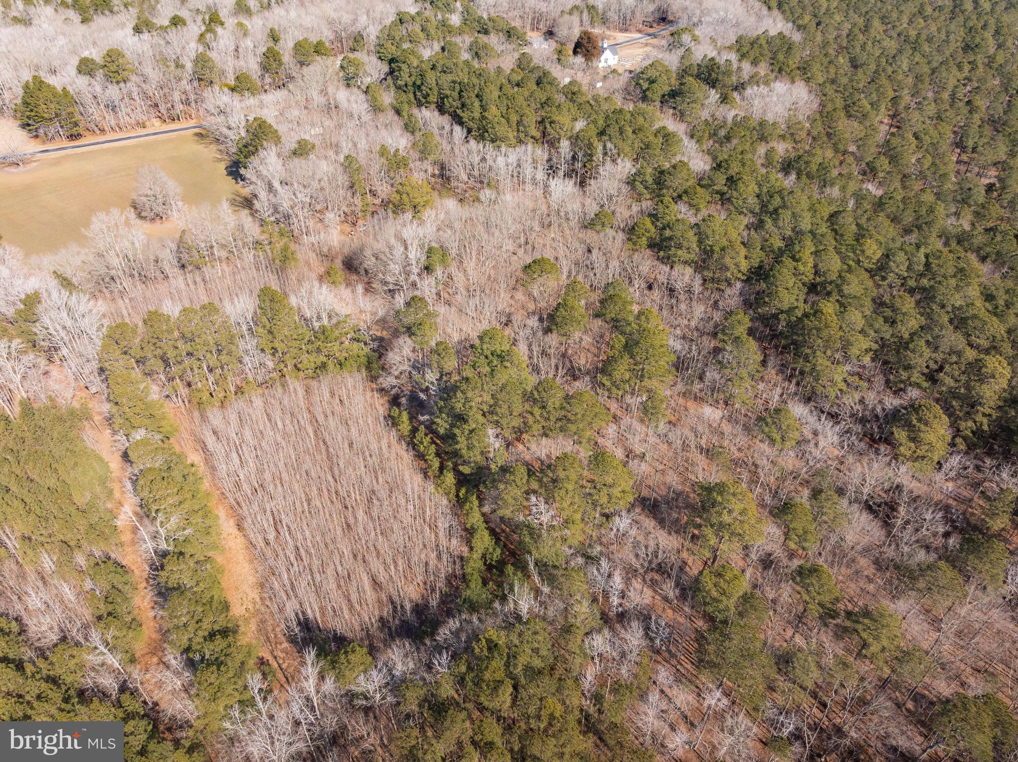 0 Polks Road Princess Anne, MD 21853 - Photo 15 of 18