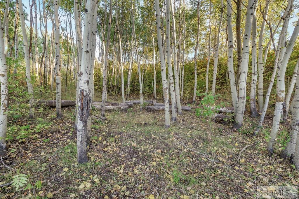 Tbd Tbd Rig Ranch Road Rexburg, ID 83440 - Photo 20 of 23