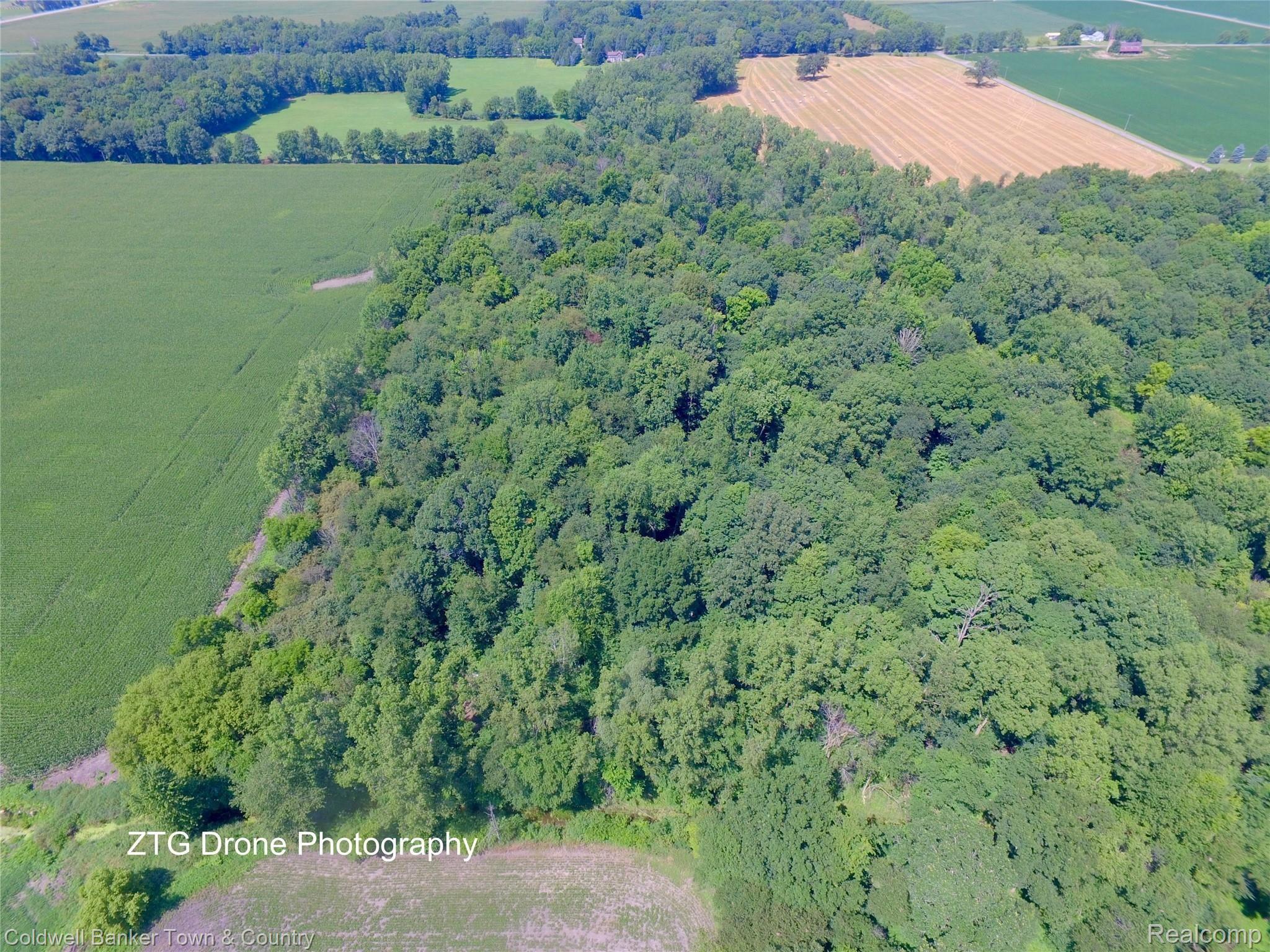 4526 East Frost Road Webberville, MI 48892 - Photo 15 of 15 DJI_0038.jpg