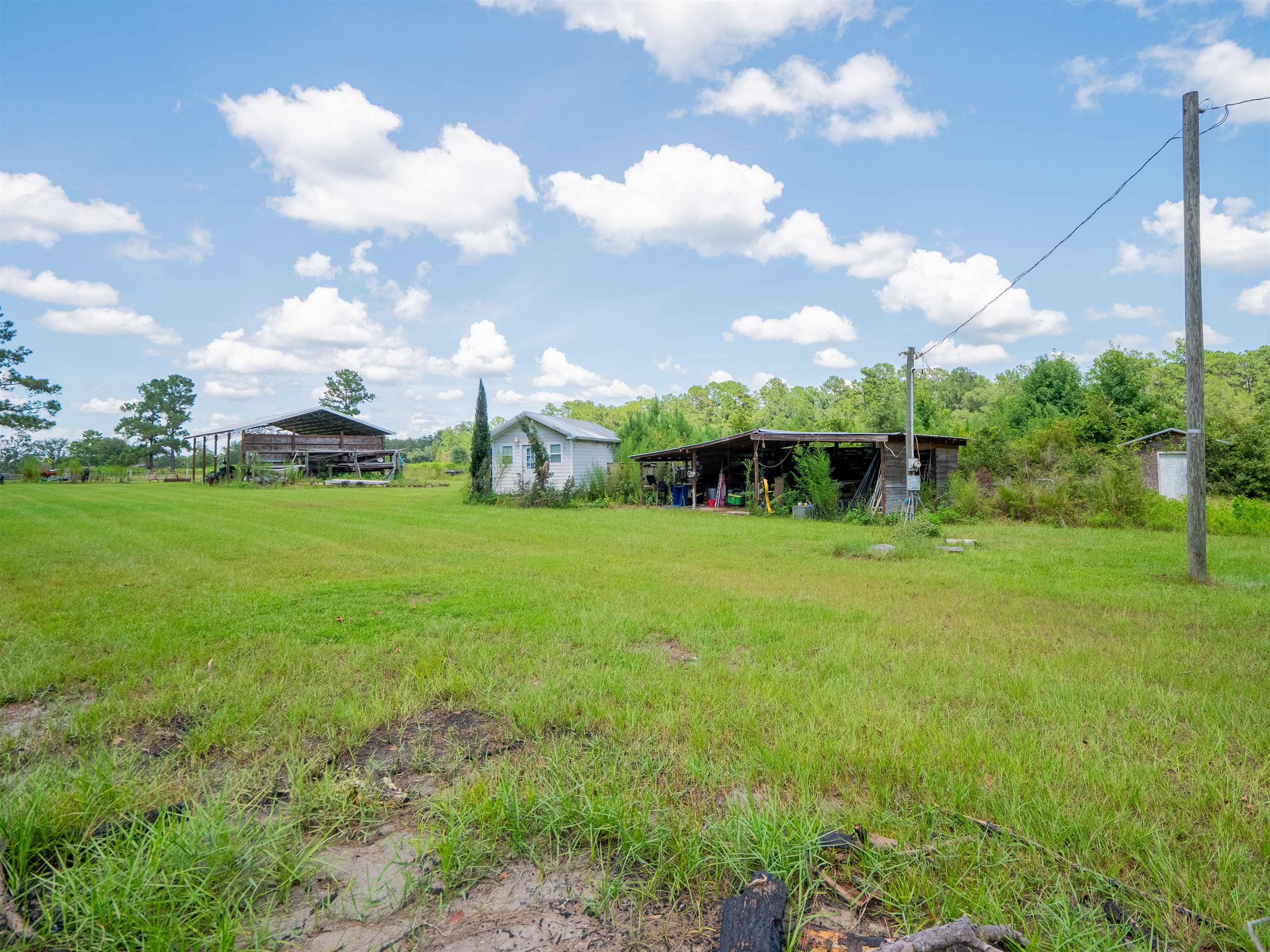 912 Northwest Brooks County Line Road Greenville, FL 32331 - Photo 11 of 51 Gallery Image 11