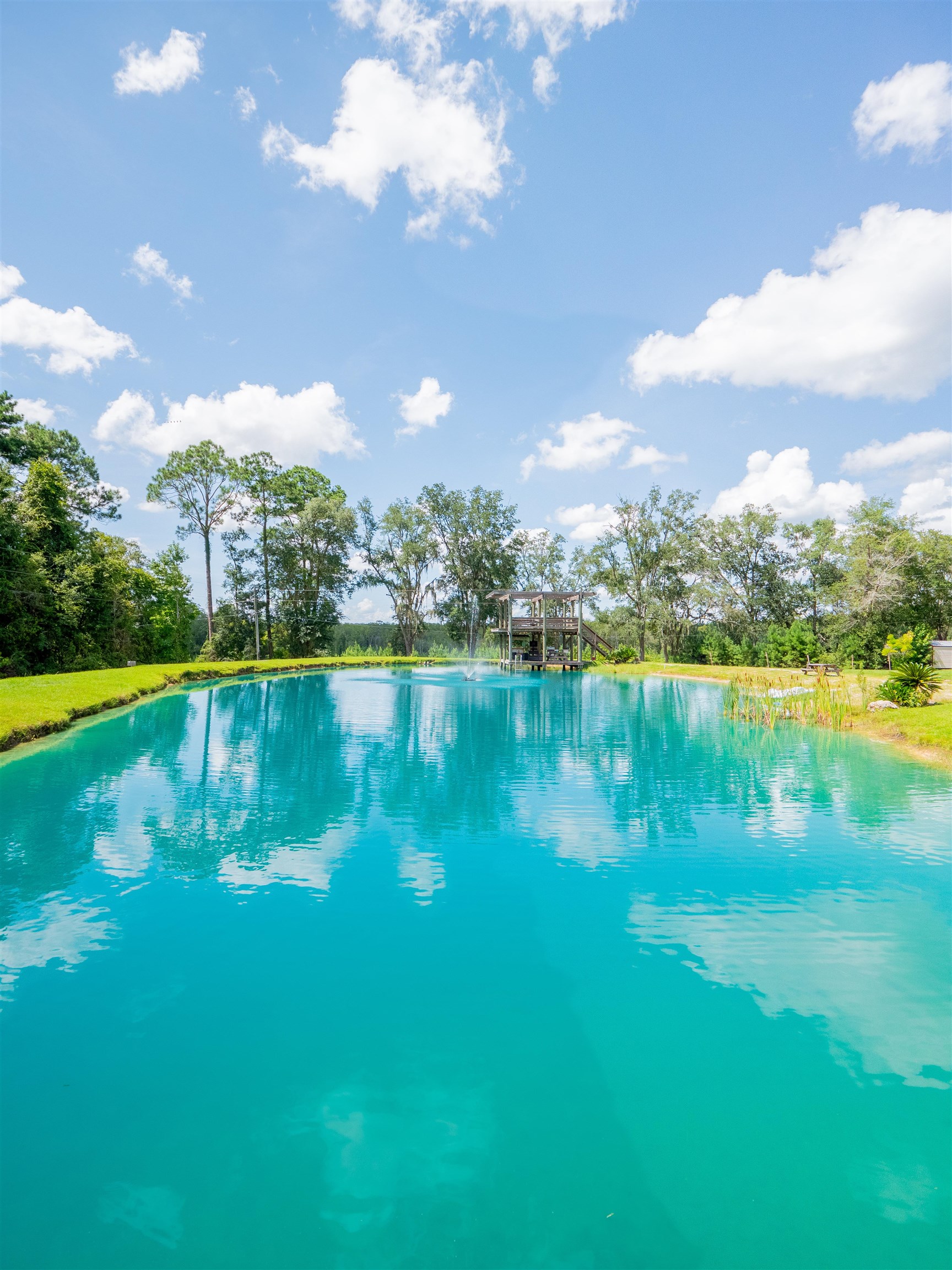 912 Northwest Brooks County Line Road Greenville, FL 32331 - Photo 14 of 51 Gallery Image 14