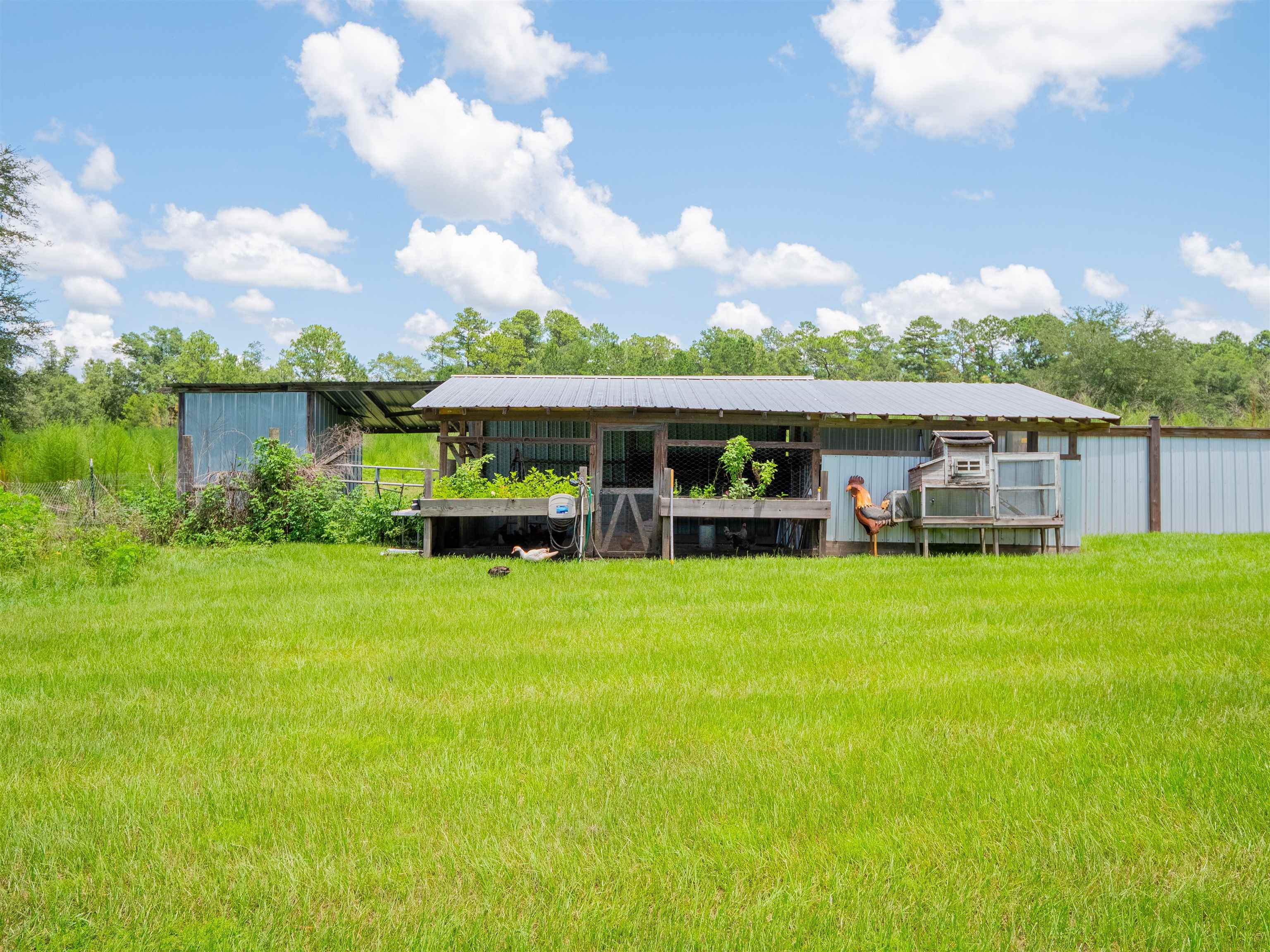 912 Northwest Brooks County Line Road Greenville, FL 32331 - Photo 3 of 51 Gallery Image 3