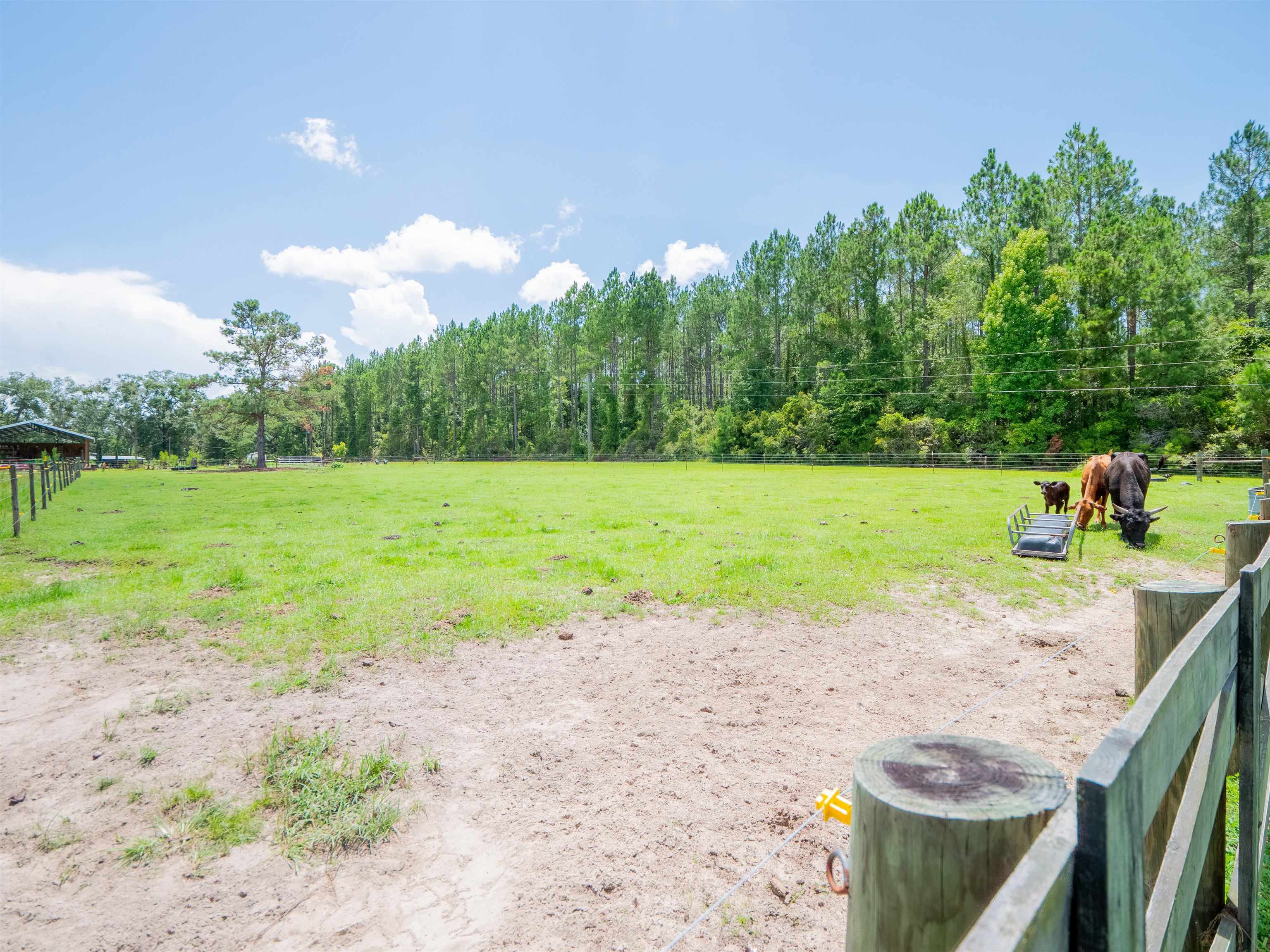 912 Northwest Brooks County Line Road Greenville, FL 32331 - Photo 5 of 51 Gallery Image 5