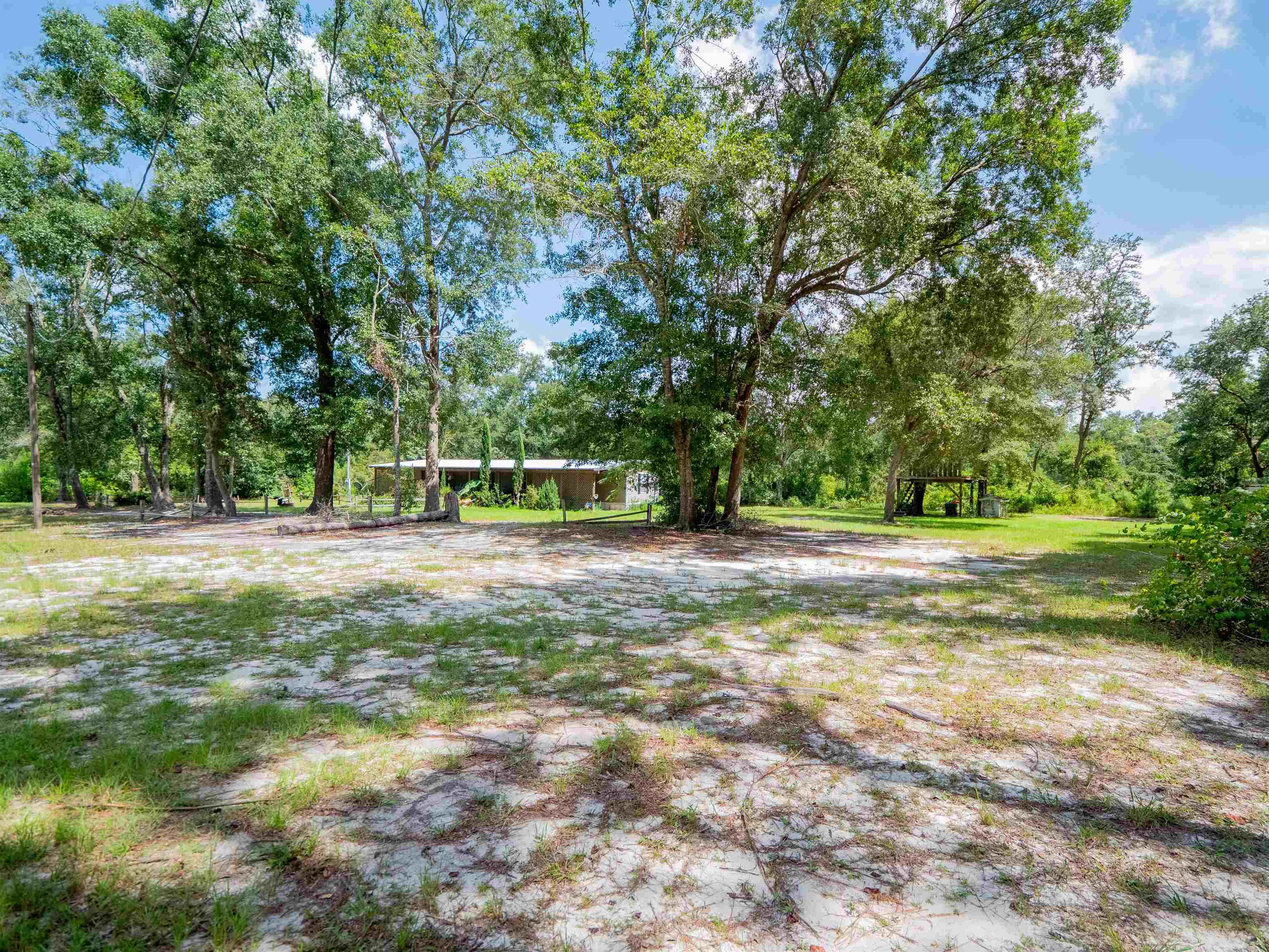 912 Northwest Brooks County Line Road Greenville, FL 32331 - Photo 9 of 51 Gallery Image 9