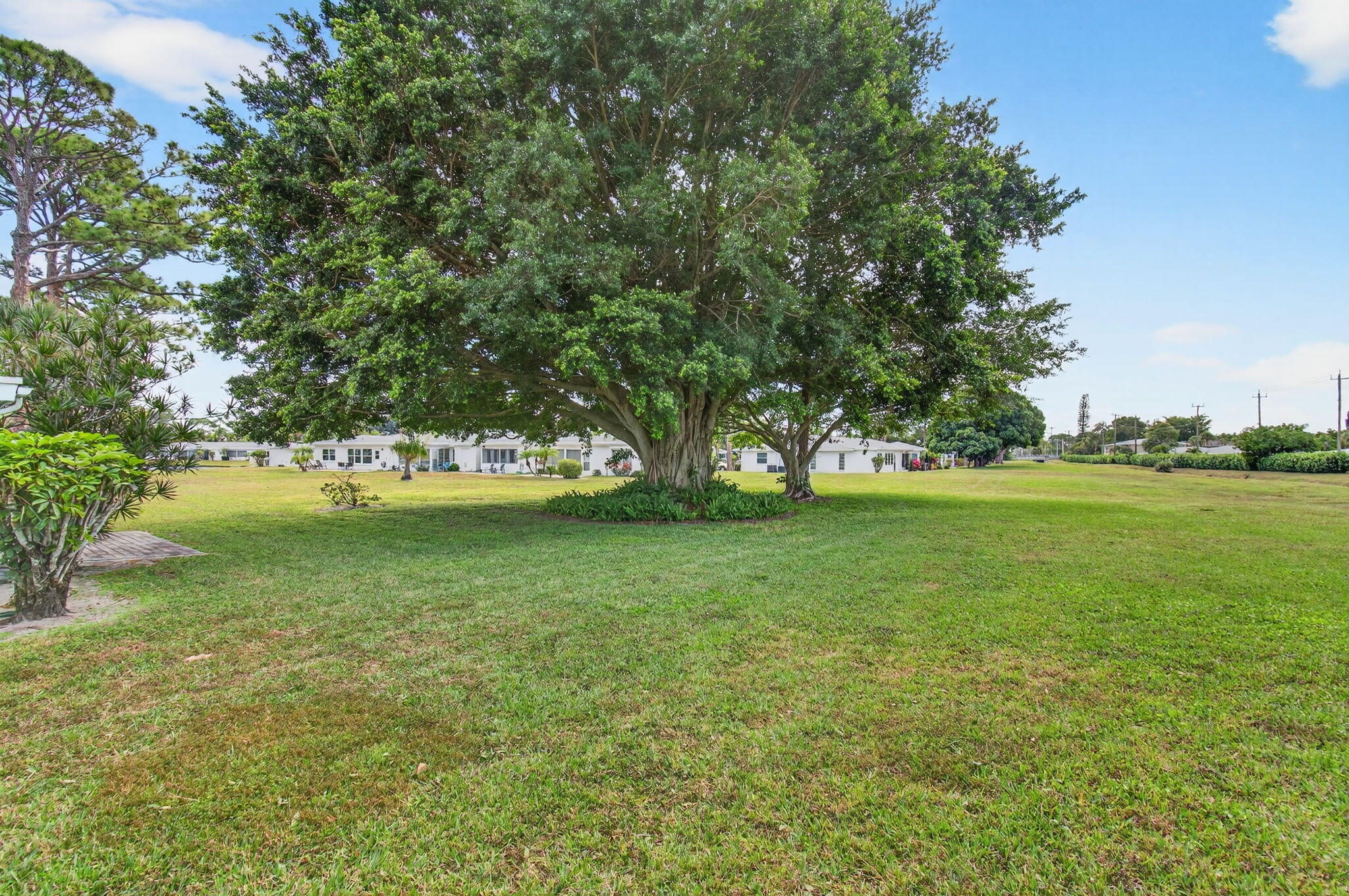 5452 Poppy Place, Unit D Delray Beach, FL 33484 - Photo 48 of 62 Private backyard with plenty of green sp