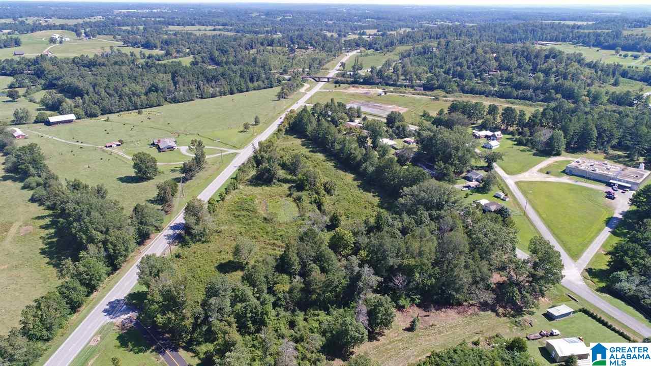 1002 Arkadelphia Road Hanceville, AL 35077 - Photo 8 of 11