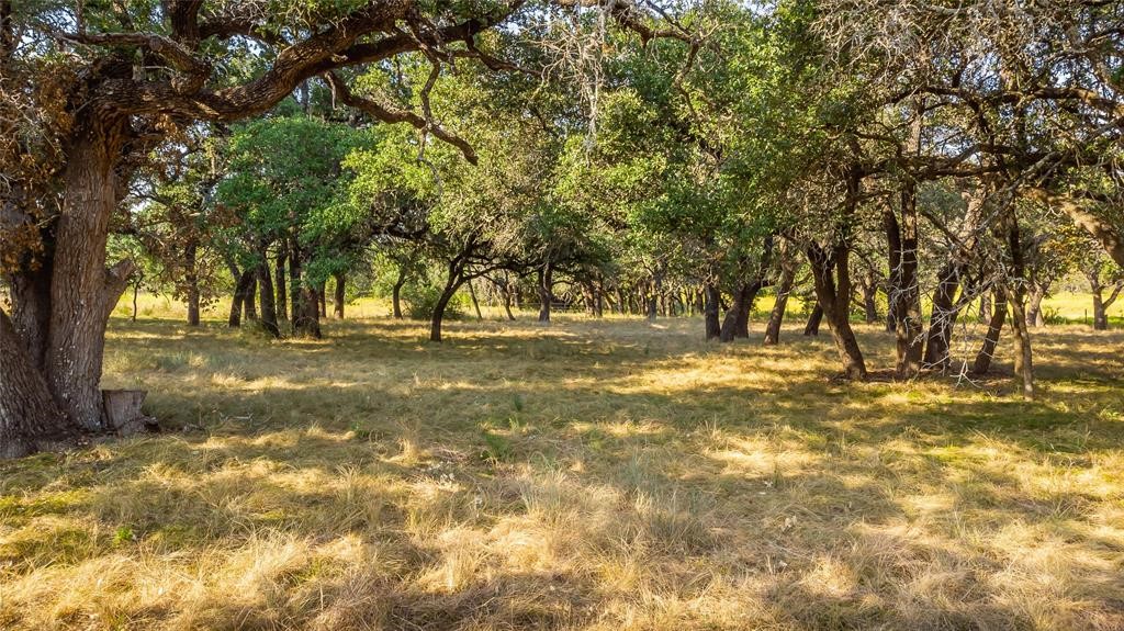 2455 County Road 2699 Lometa, TX 76853 - Photo 1 of 39