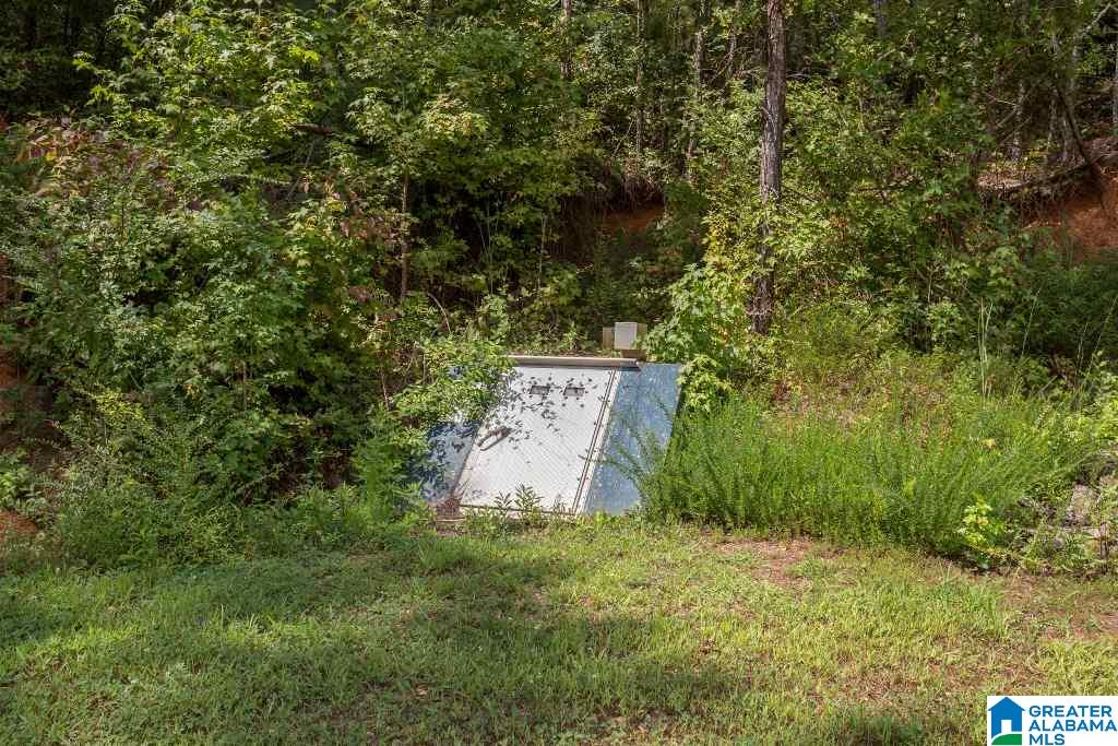 12901 Highway 9 Jacksonville, AL 36265 - Photo 32 of 37