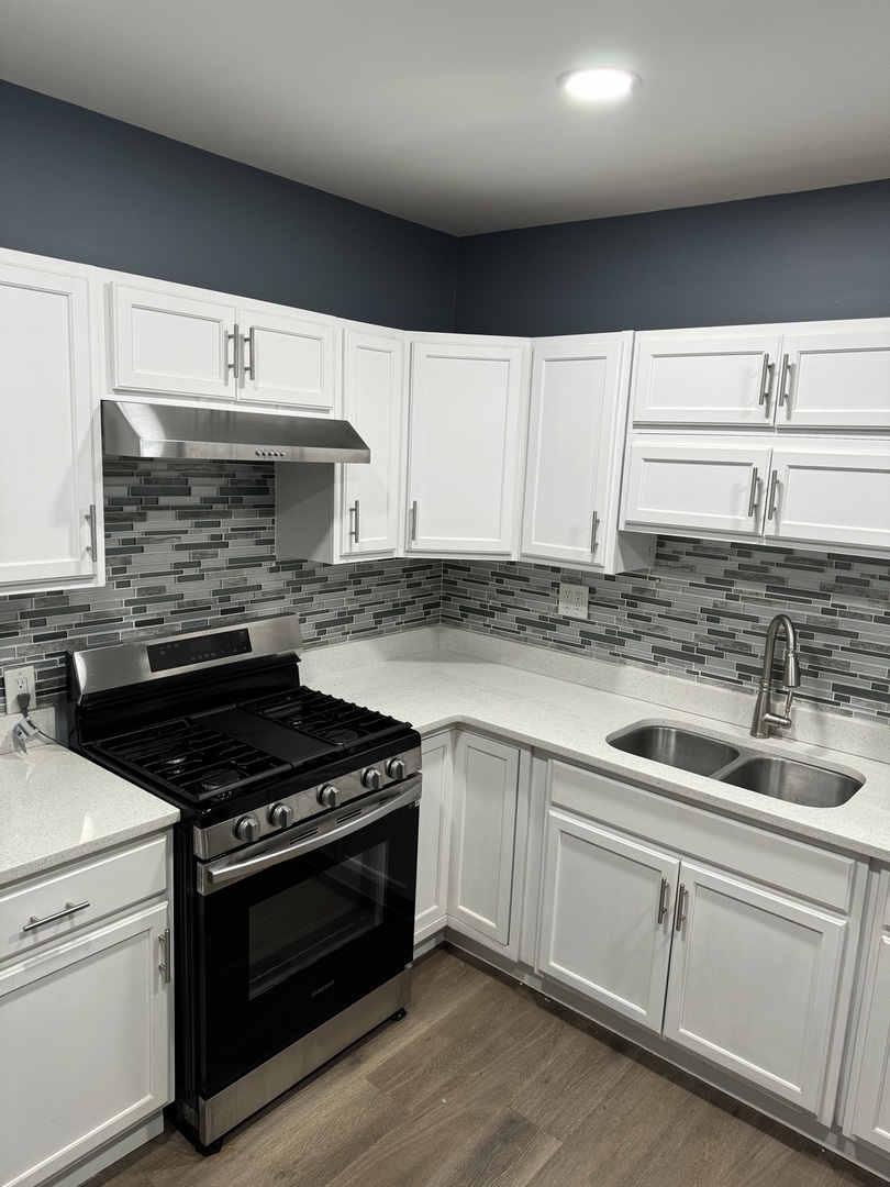 1250 North Monitor Avenue Chicago, IL 60651 - Photo 10 of 28 a kitchen with cabinets a sink and appliances