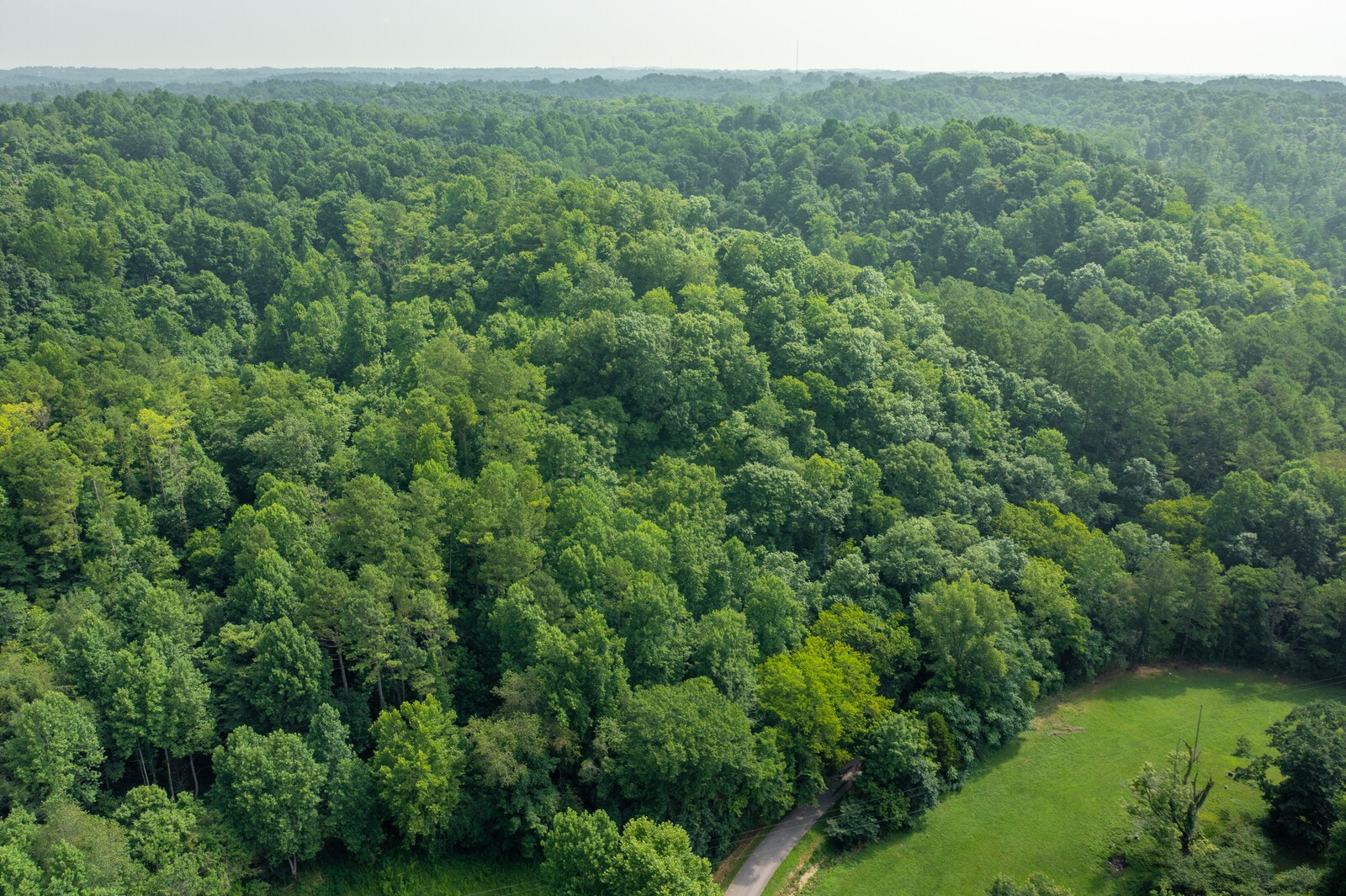 761 Leath Chapel Road Bethpage, TN 37022 - Photo 11 of 19 Gallery Image 11