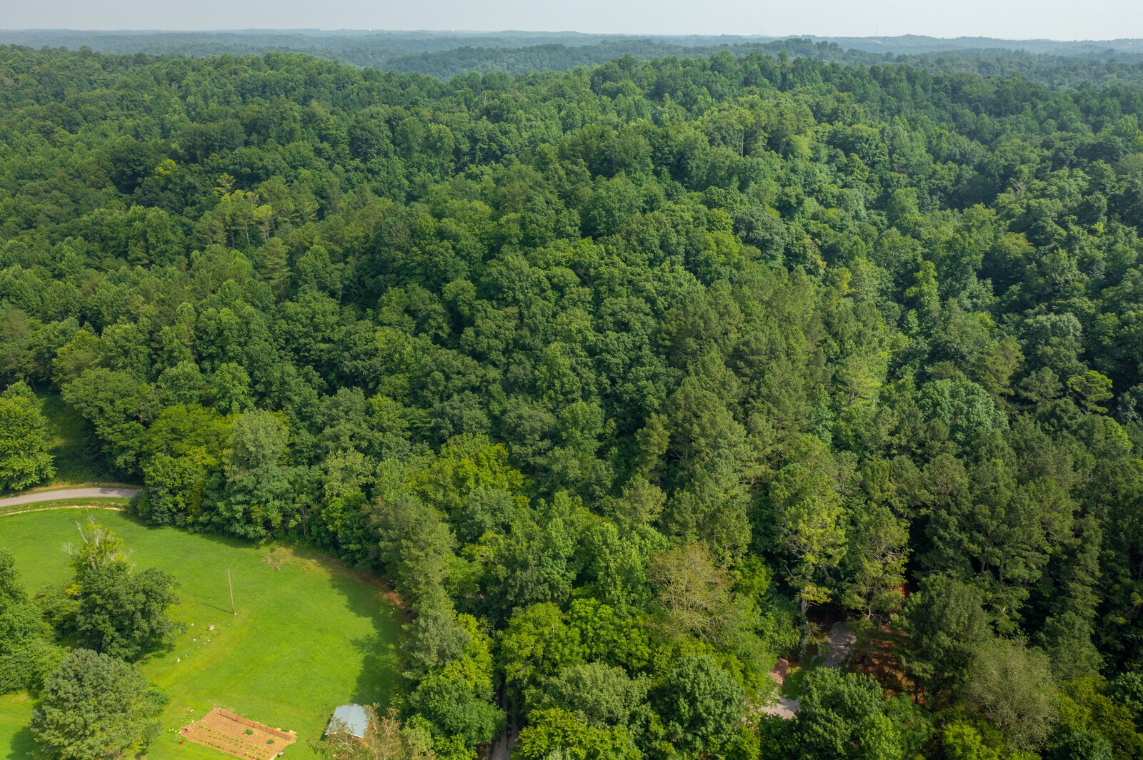 761 Leath Chapel Road Bethpage, TN 37022 - Photo 12 of 19 Gallery Image 12