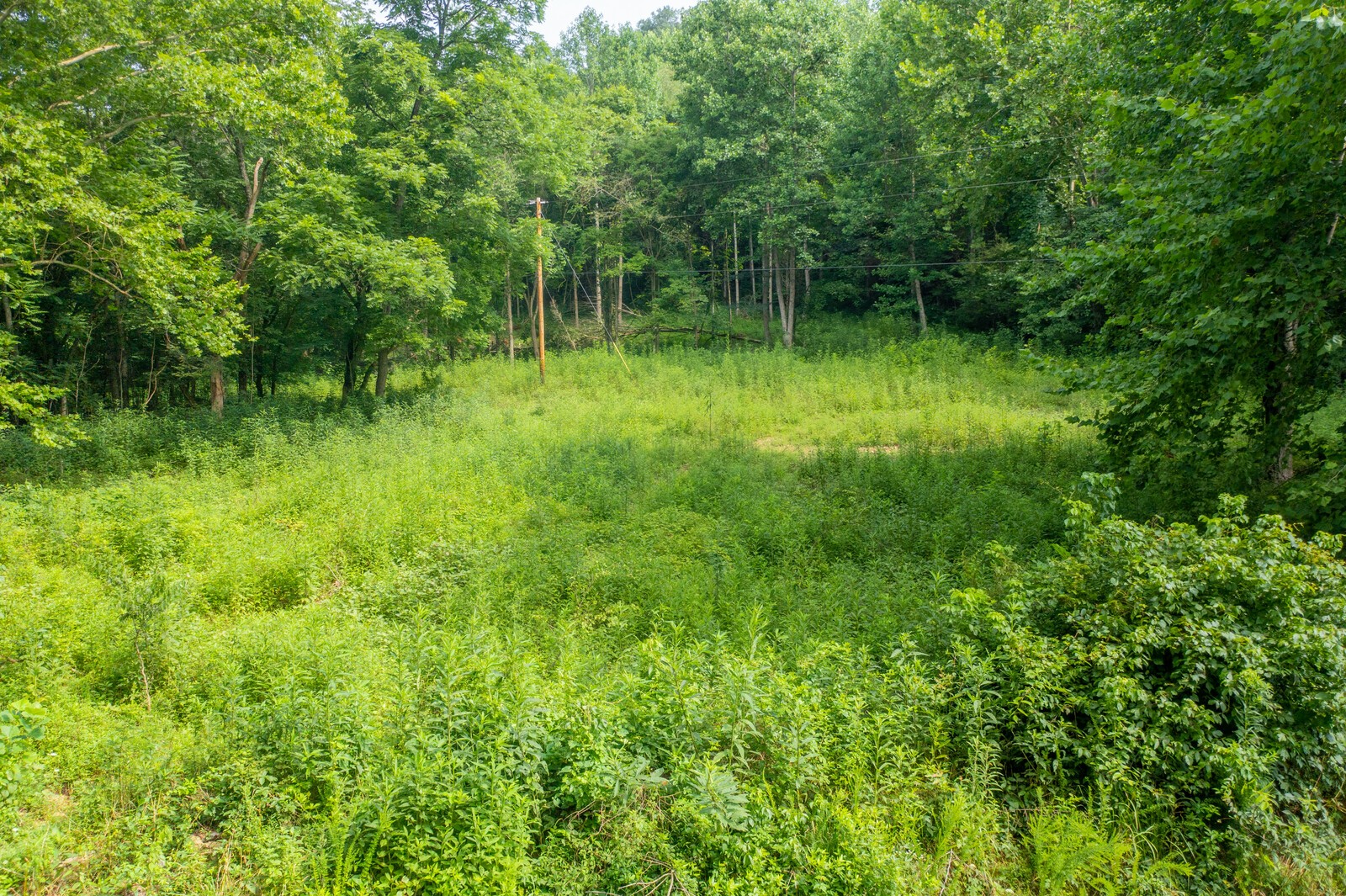 761 Leath Chapel Road Bethpage, TN 37022 - Photo 17 of 19 Gallery Image 17