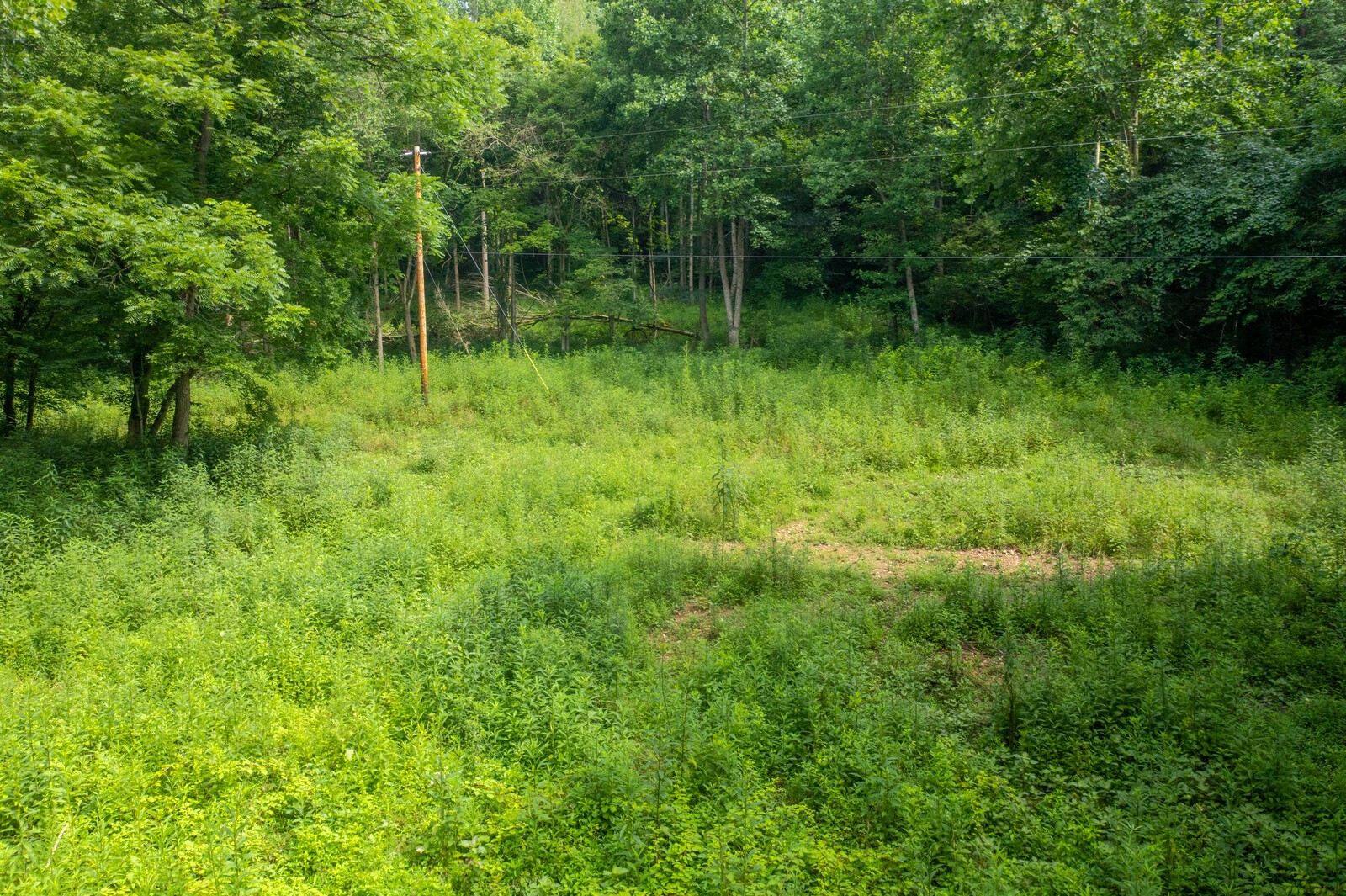 761 Leath Chapel Road Bethpage, TN 37022 - Photo 18 of 19 Gallery Image 18