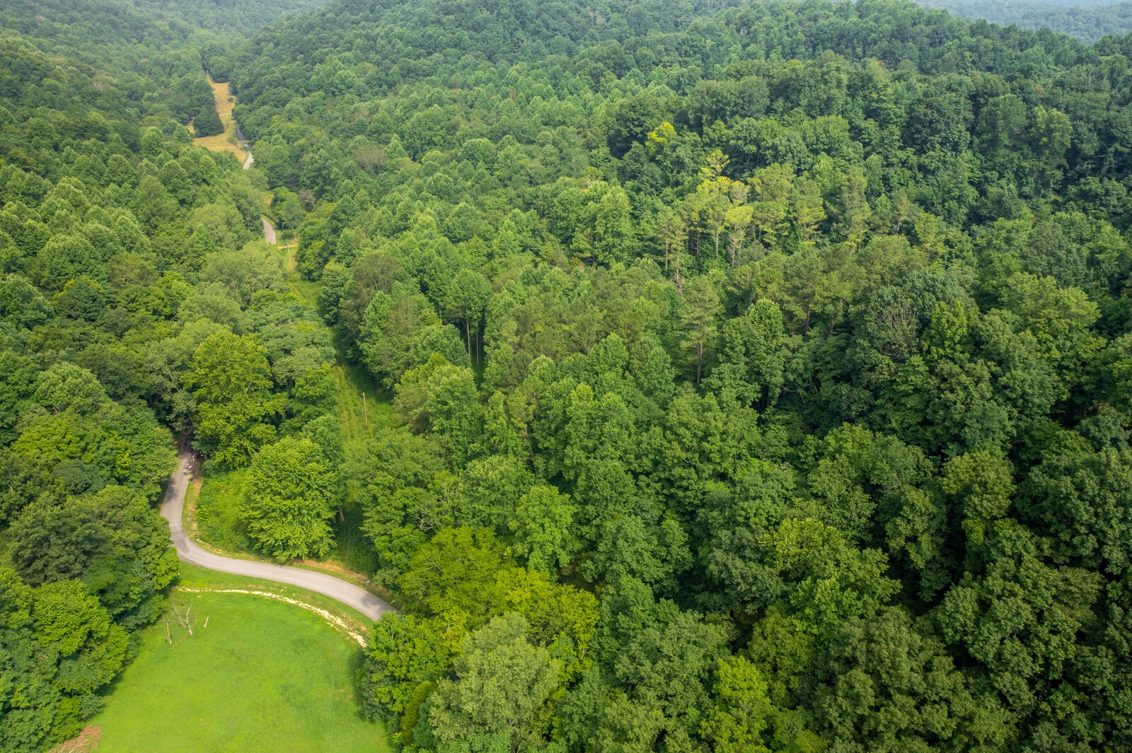 761 Leath Chapel Road Bethpage, TN 37022 - Photo 6 of 19 Gallery Image 6