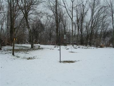 684 Ardery Road Paris, KY 40361 - Photo 29 of 32 Rear Yard in Winter