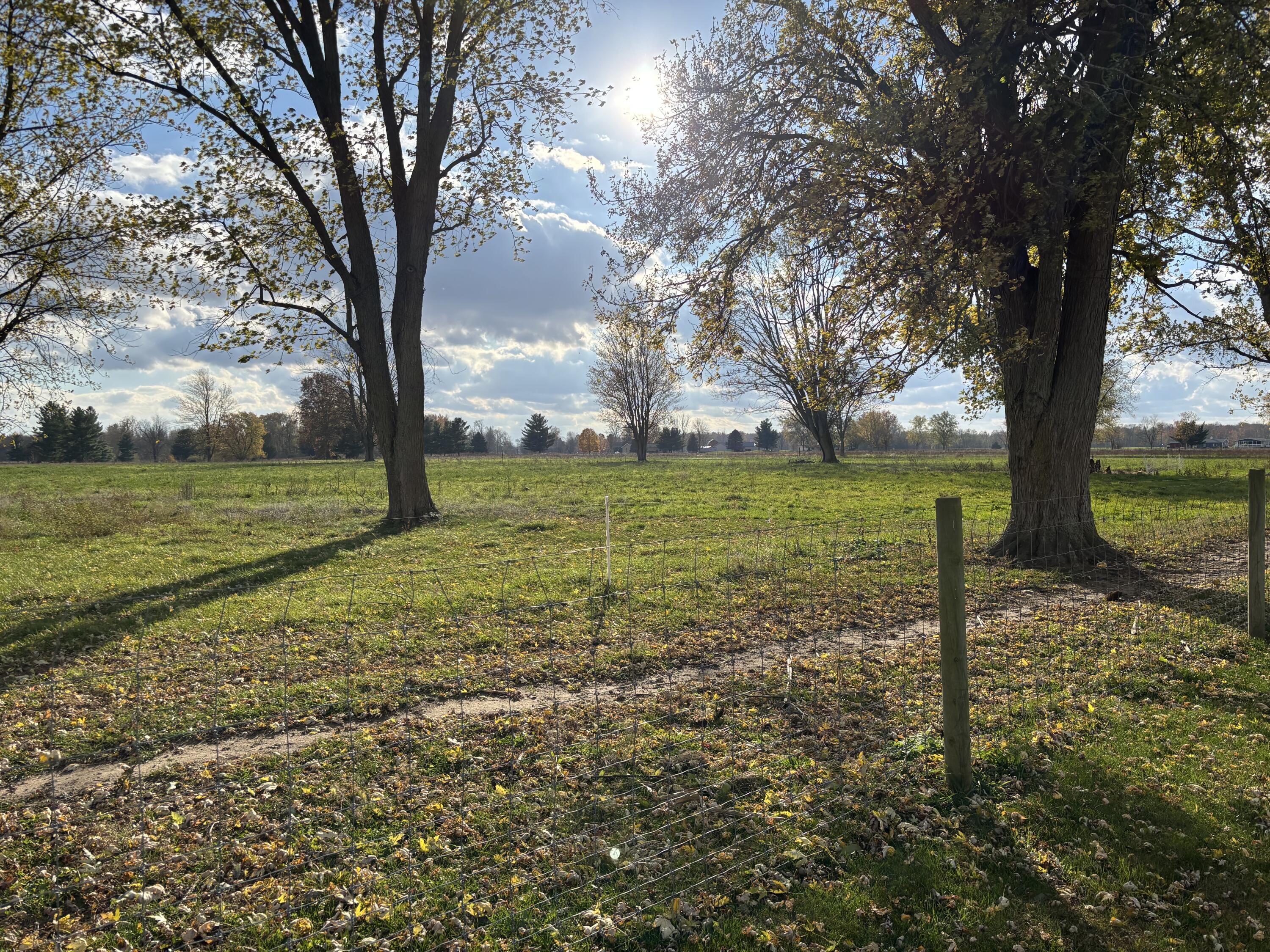 1015 Brink Road Bronson, MI 49028 - Photo 9 of 28 IMG_5027