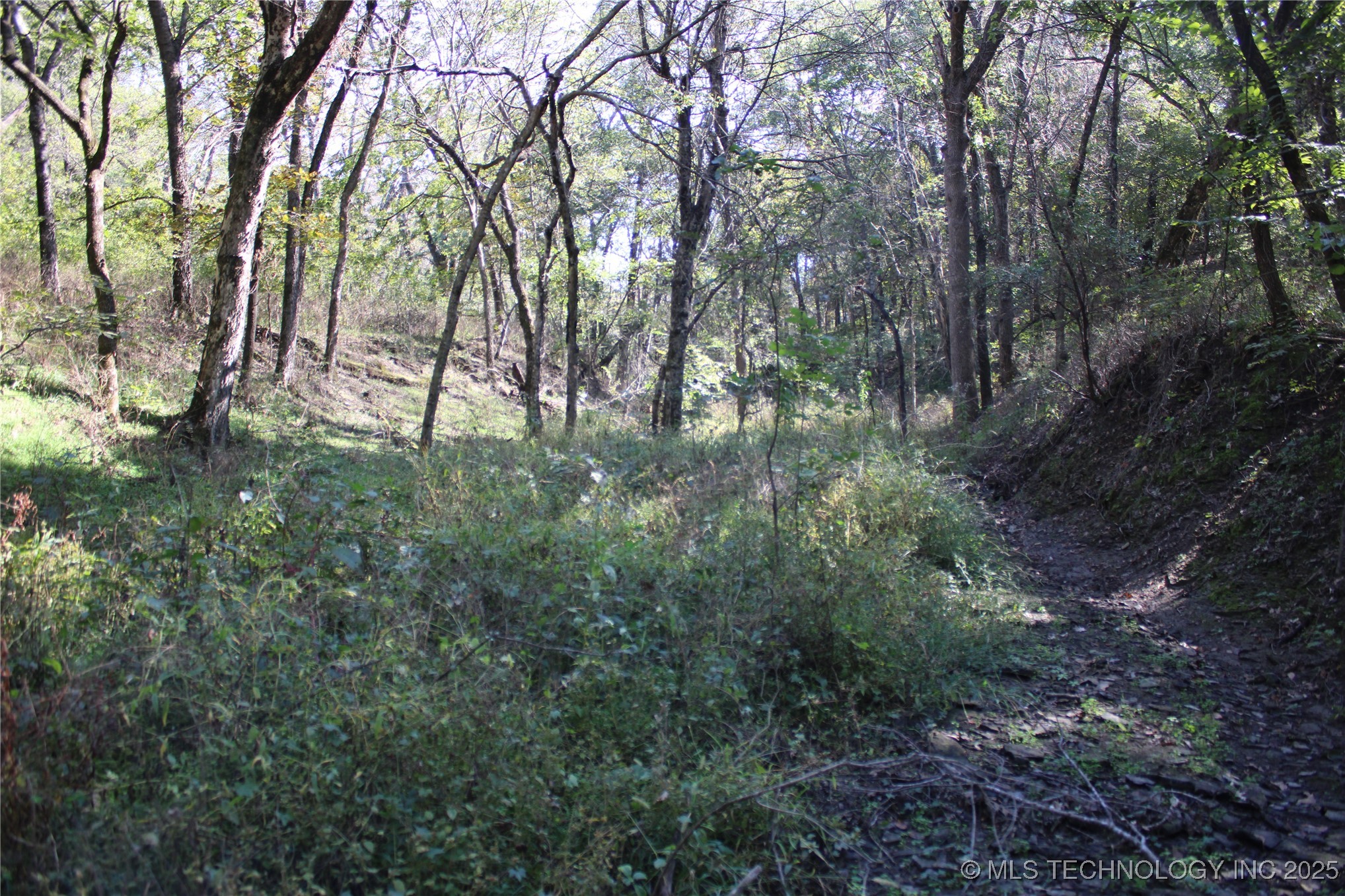24901 280th Road Chelsea, OK 74016 - Photo 94 of 100 Gallery Image 94