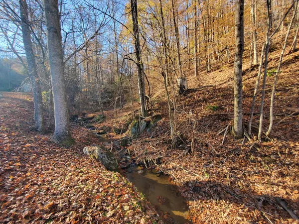 $46,000 | 0 Ingram Branch Road, Unit 4, Roan Mountain, TN 37687