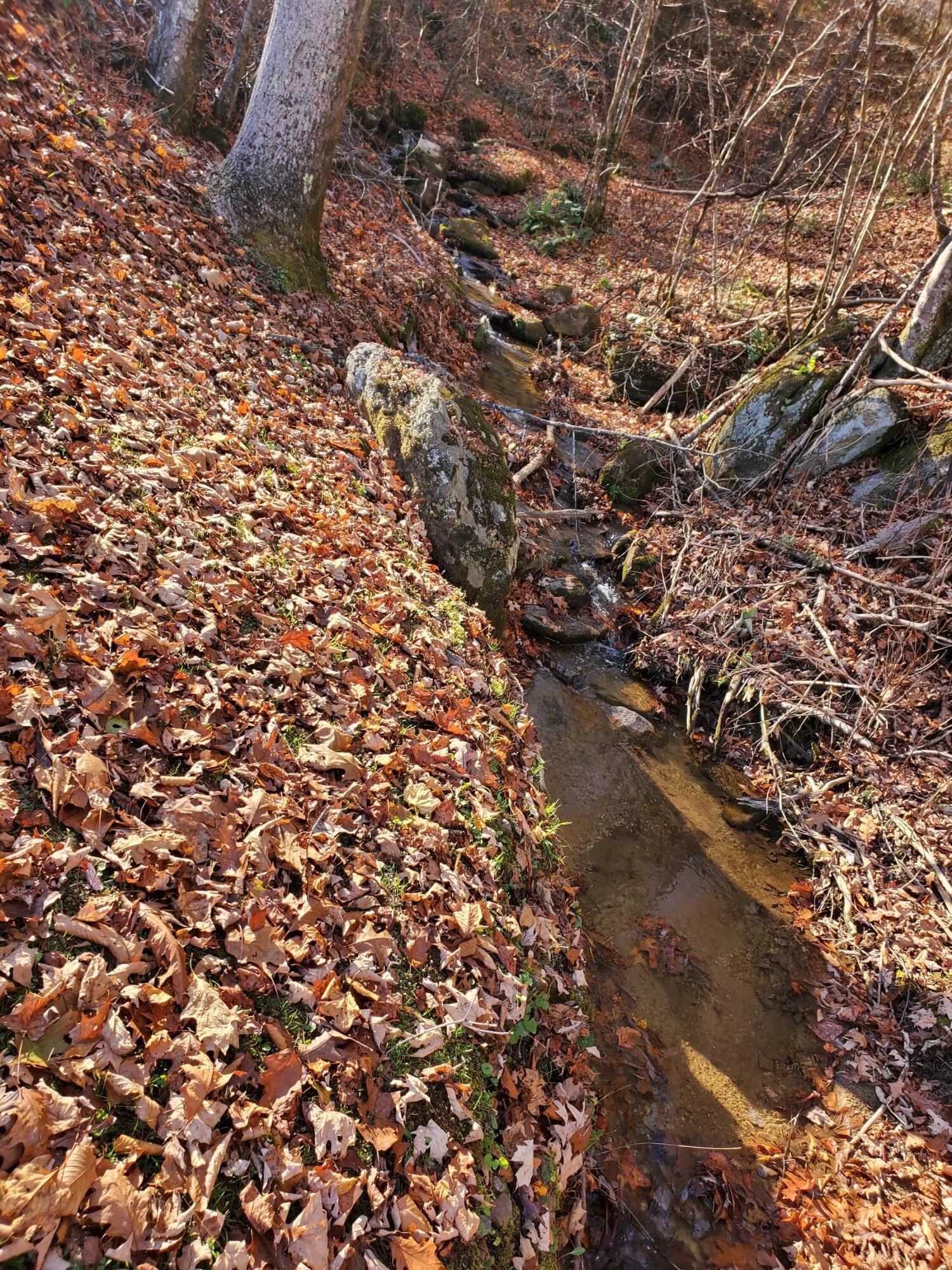 0 Ingram Branch Road, Unit 4 Roan Mountain, TN 37687 - Photo 11 of 15 20231103_162032