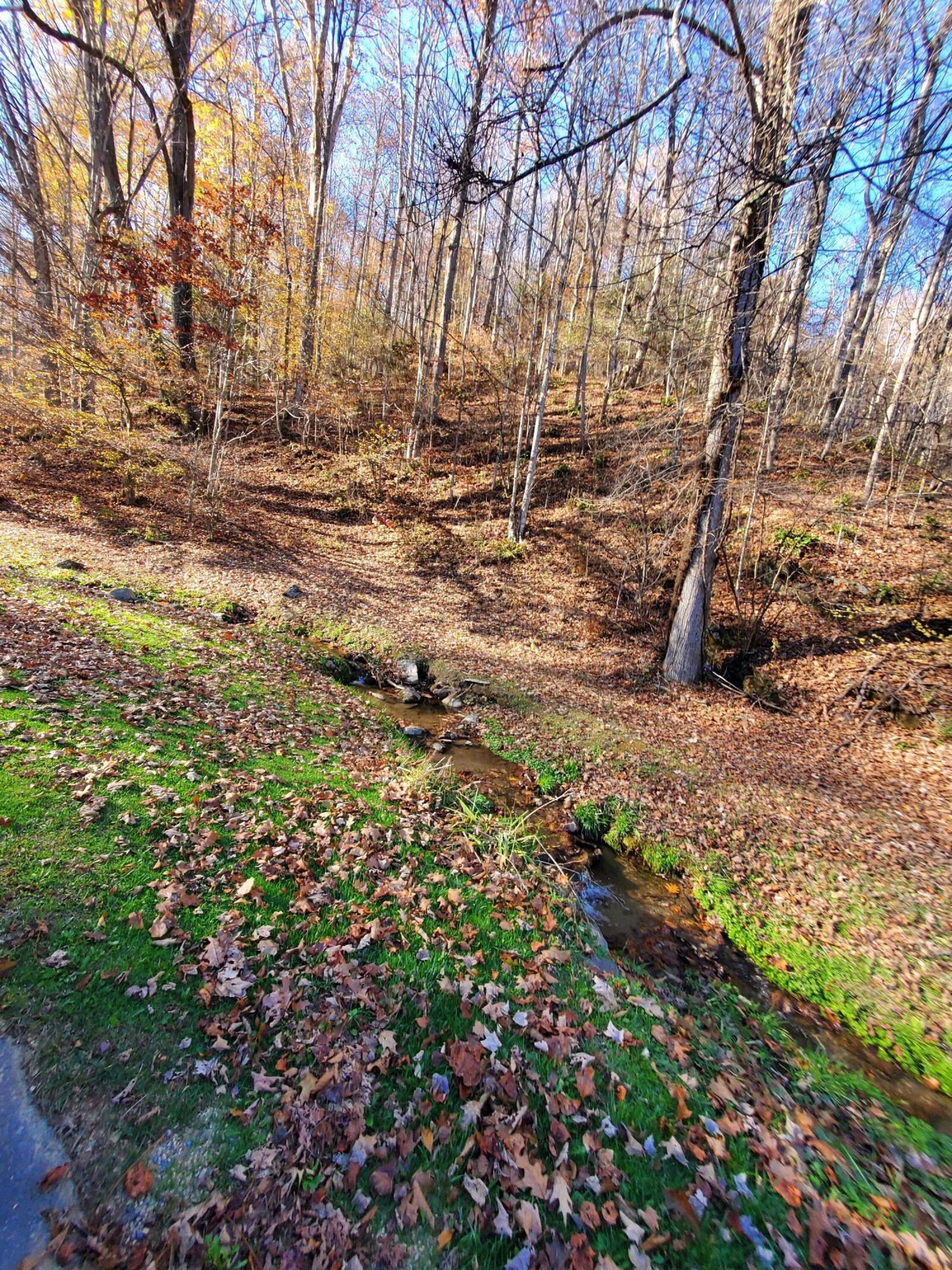 0 Ingram Branch Road, Unit 4 Roan Mountain, TN 37687 - Photo 14 of 15 20231103_162213