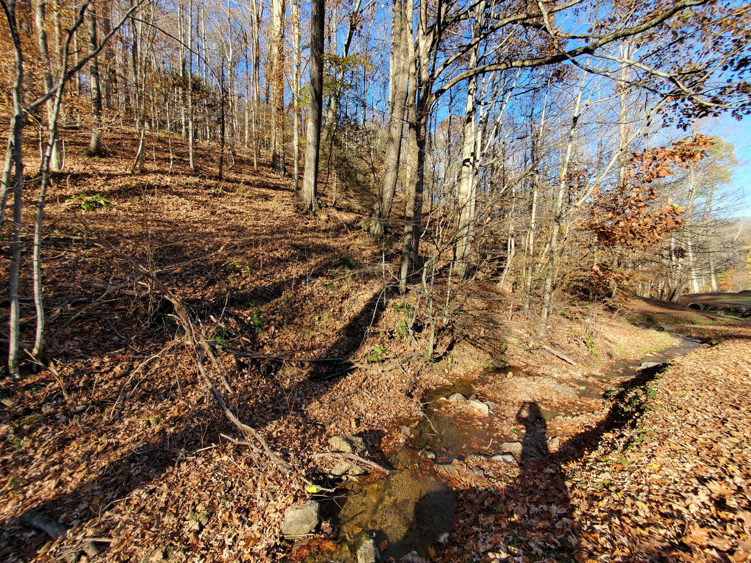 0 Ingram Branch Road, Unit 4 Roan Mountain, TN 37687 - Photo 3 of 15 20231103_162107