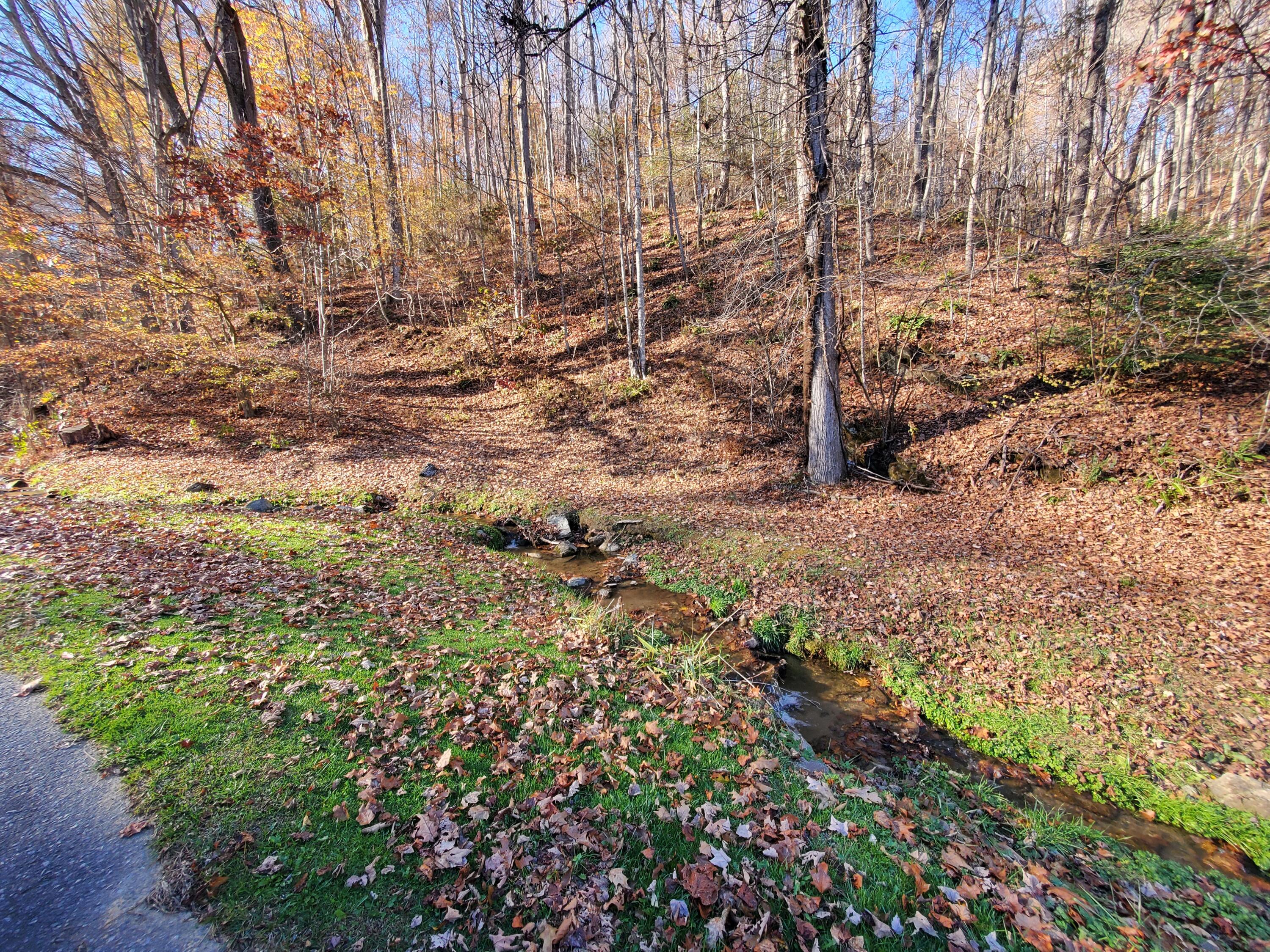 0 Ingram Branch Road, Unit 4 Roan Mountain, TN 37687 - Photo 4 of 15 20231103_162208